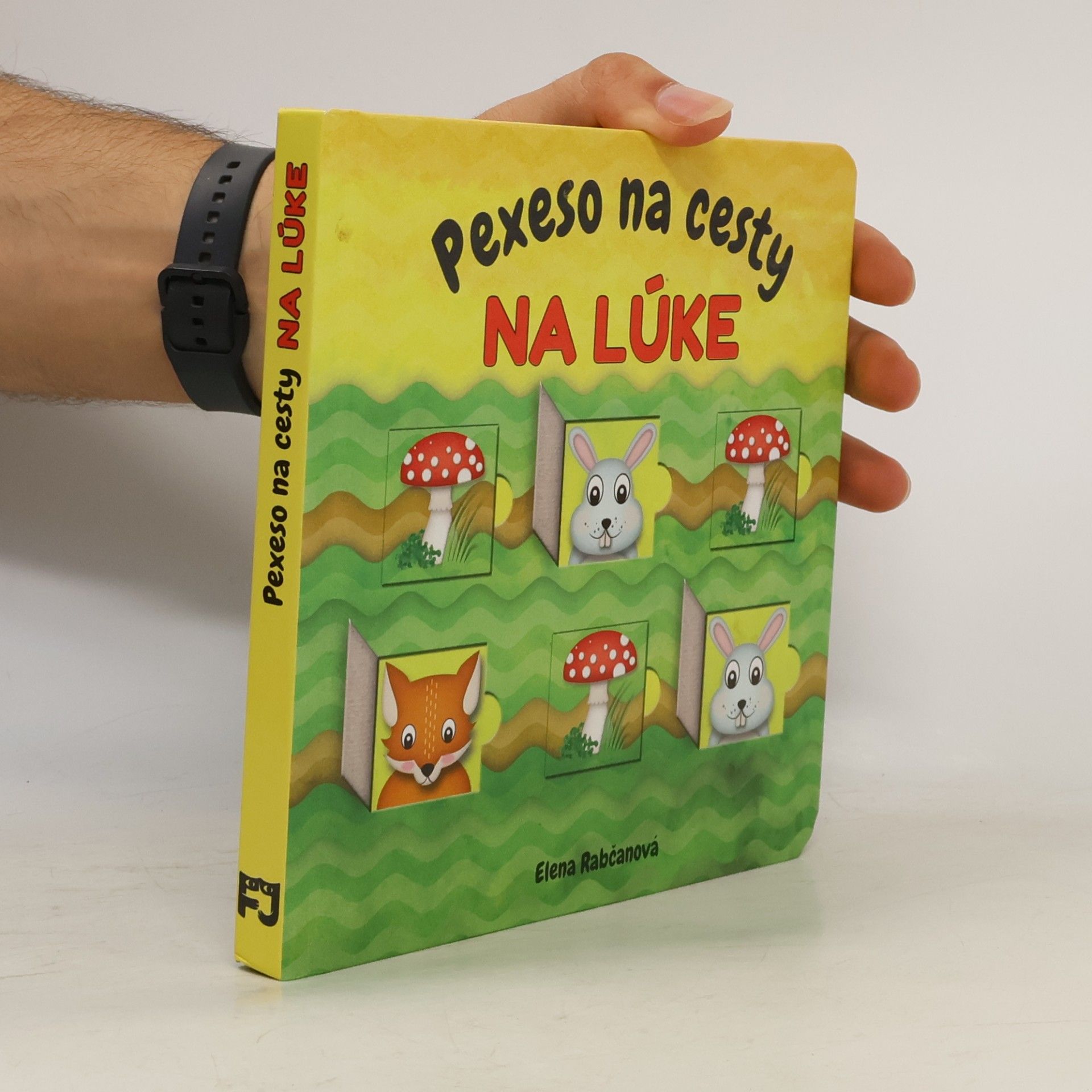 Elena Rabčanová Pexeso na cesty. Na lúke