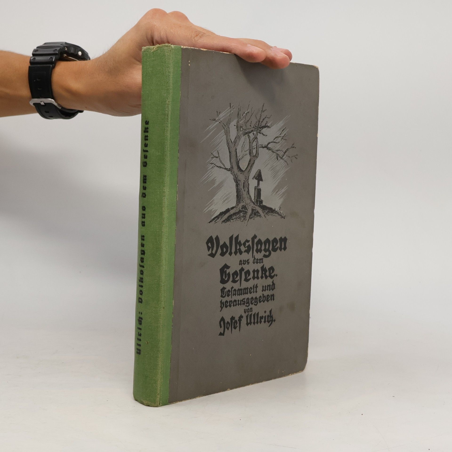 Josef Ullrich Volkssagen aus dem Gesenke