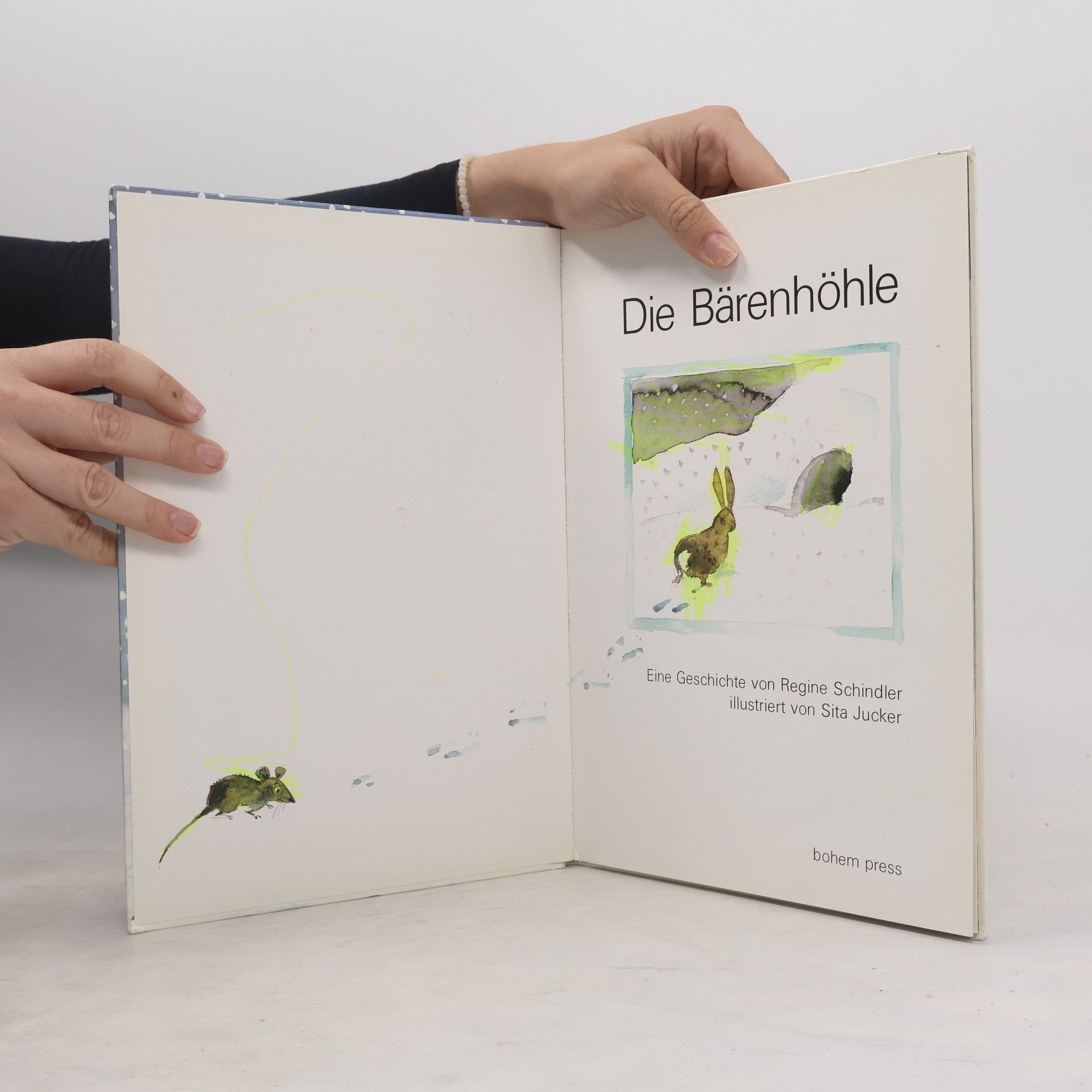 Regine Schindler Die Bärenhöhle