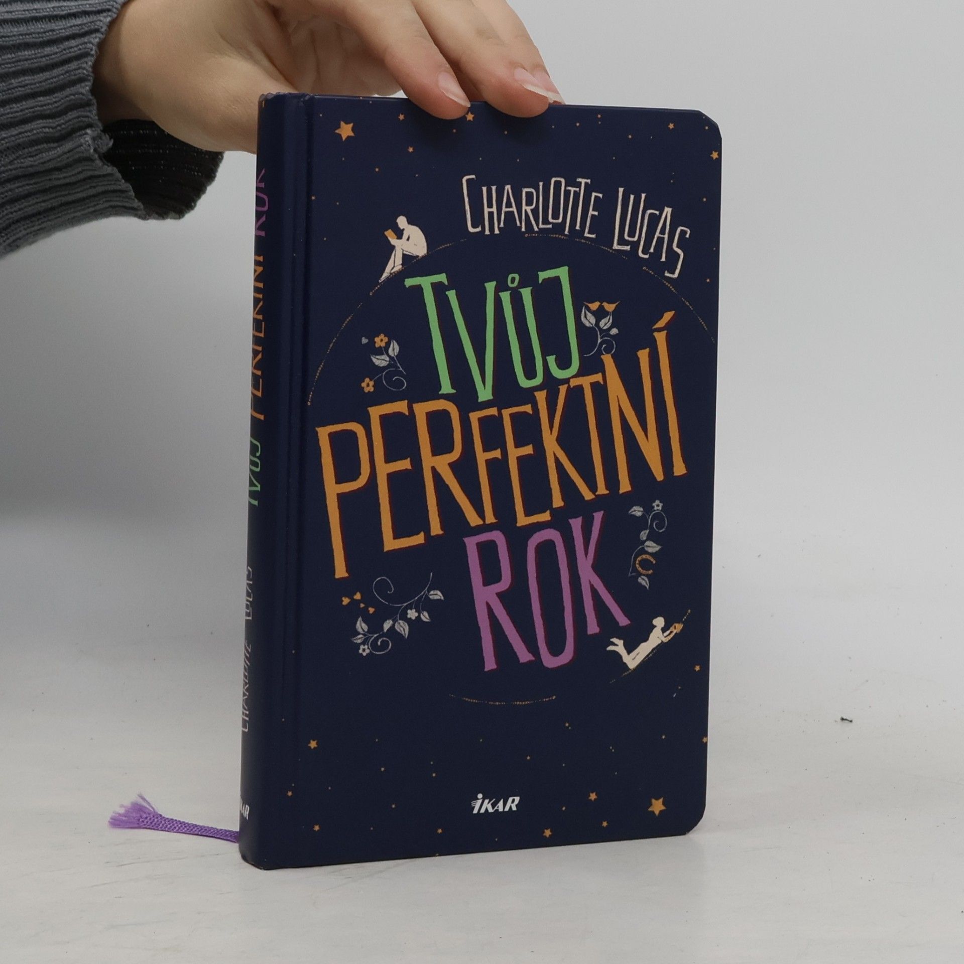 Charlotte Lucas Tvůj perfektní rok