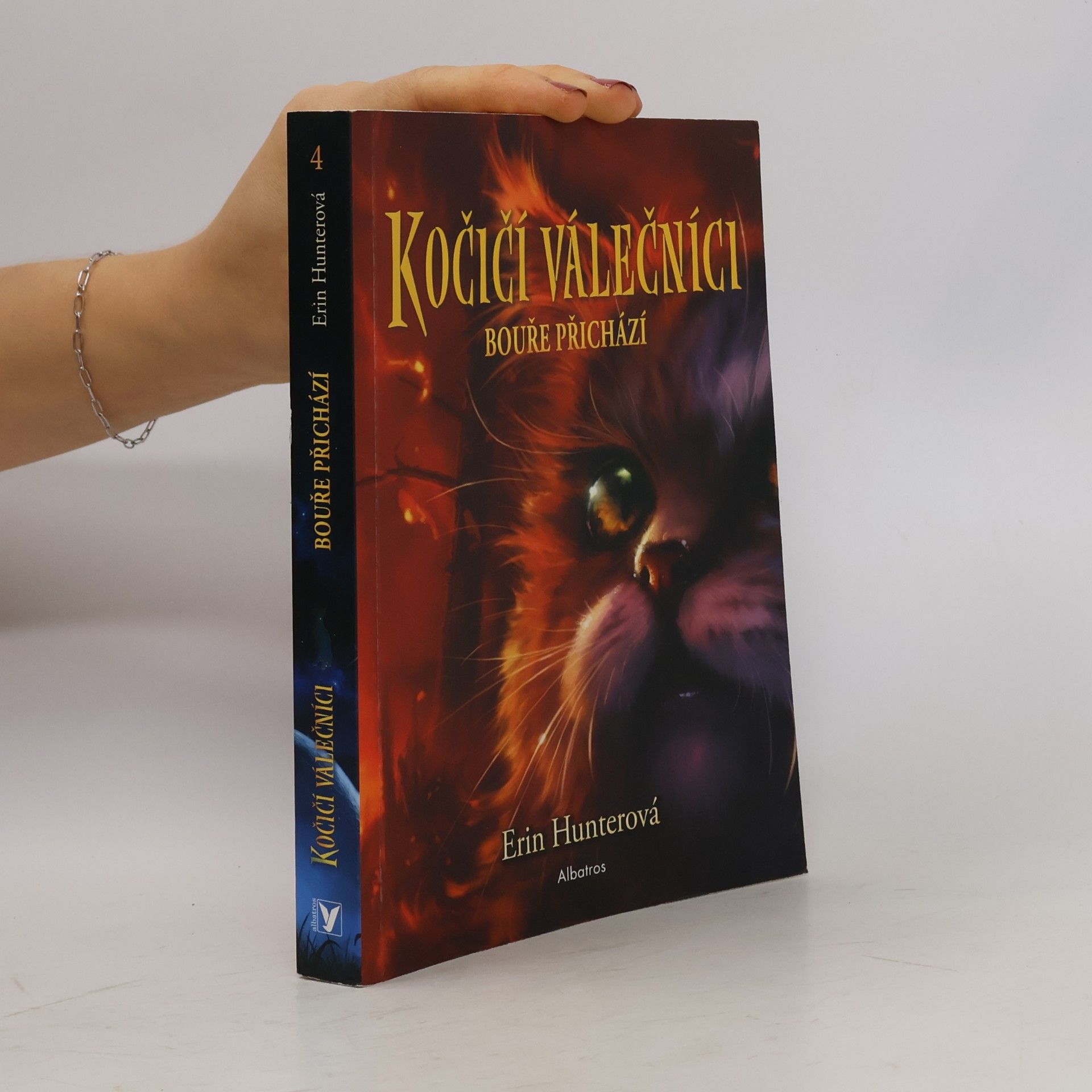 Erin Hunter Kočičí válečníci. Bouře přichází