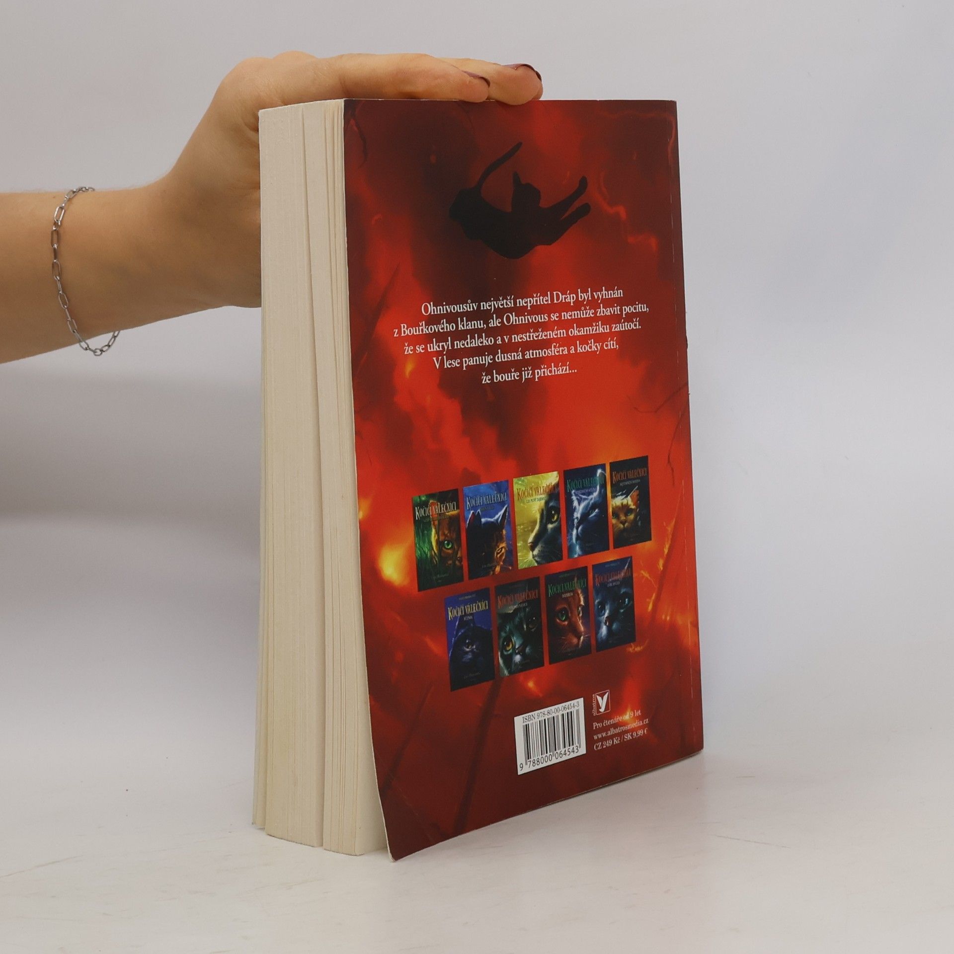 Erin Hunter Kočičí válečníci. Bouře přichází
