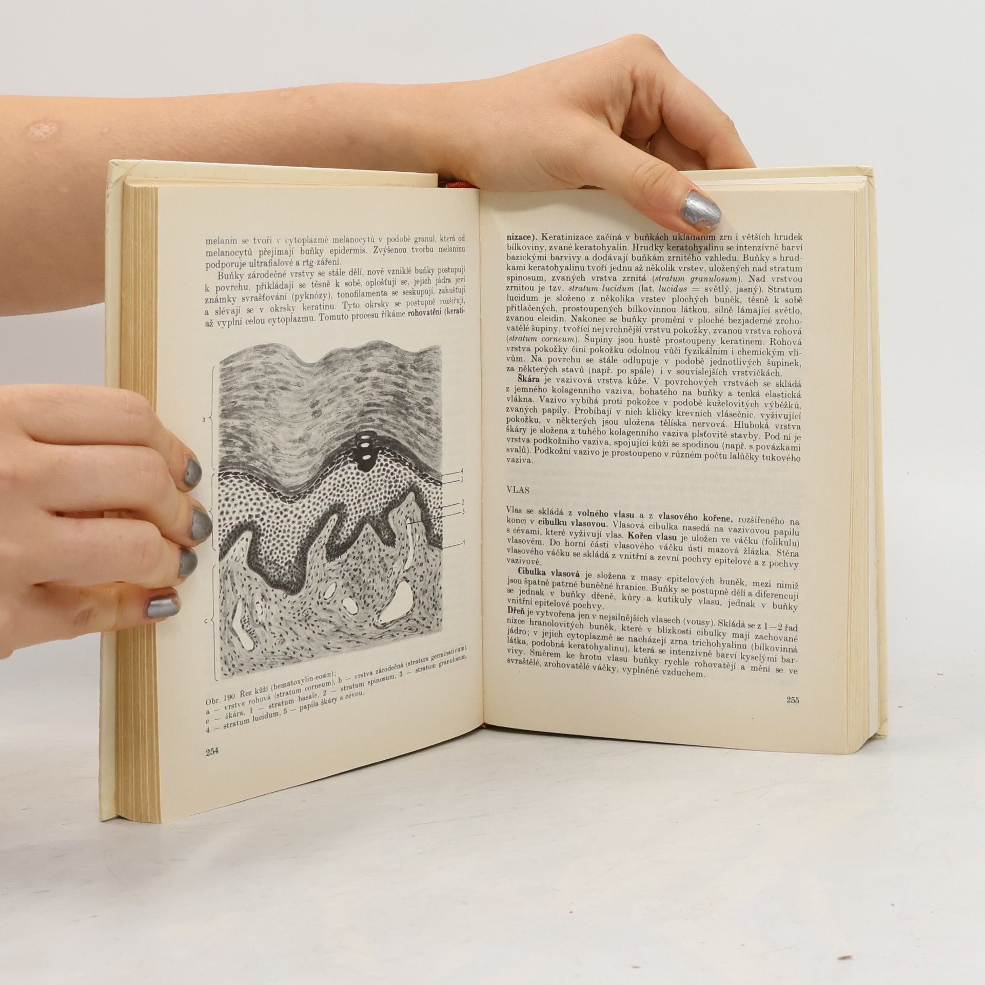 Zdeněk Vacek Histologie a histologická technika