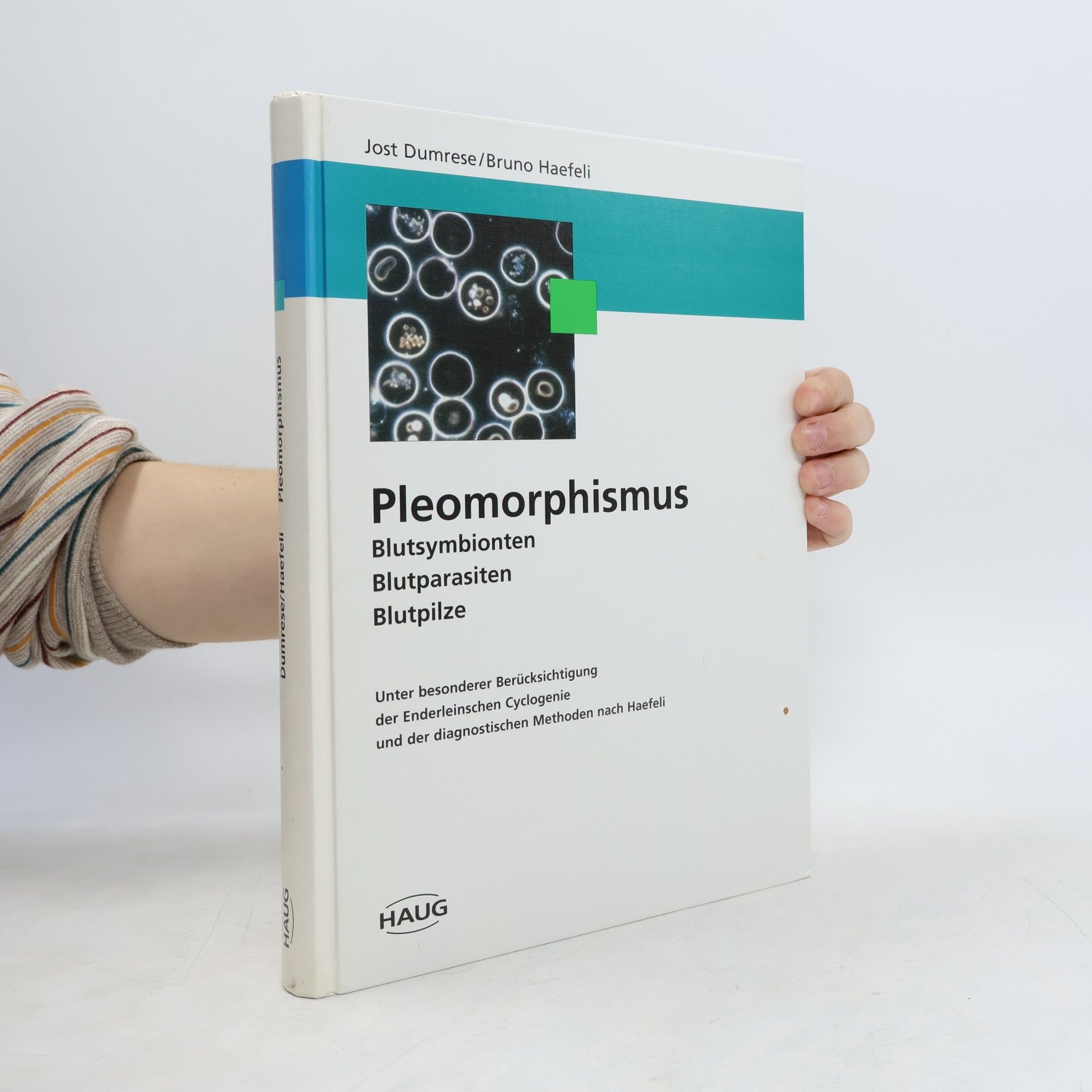 Bruno Haefeli Pleomorphismus
