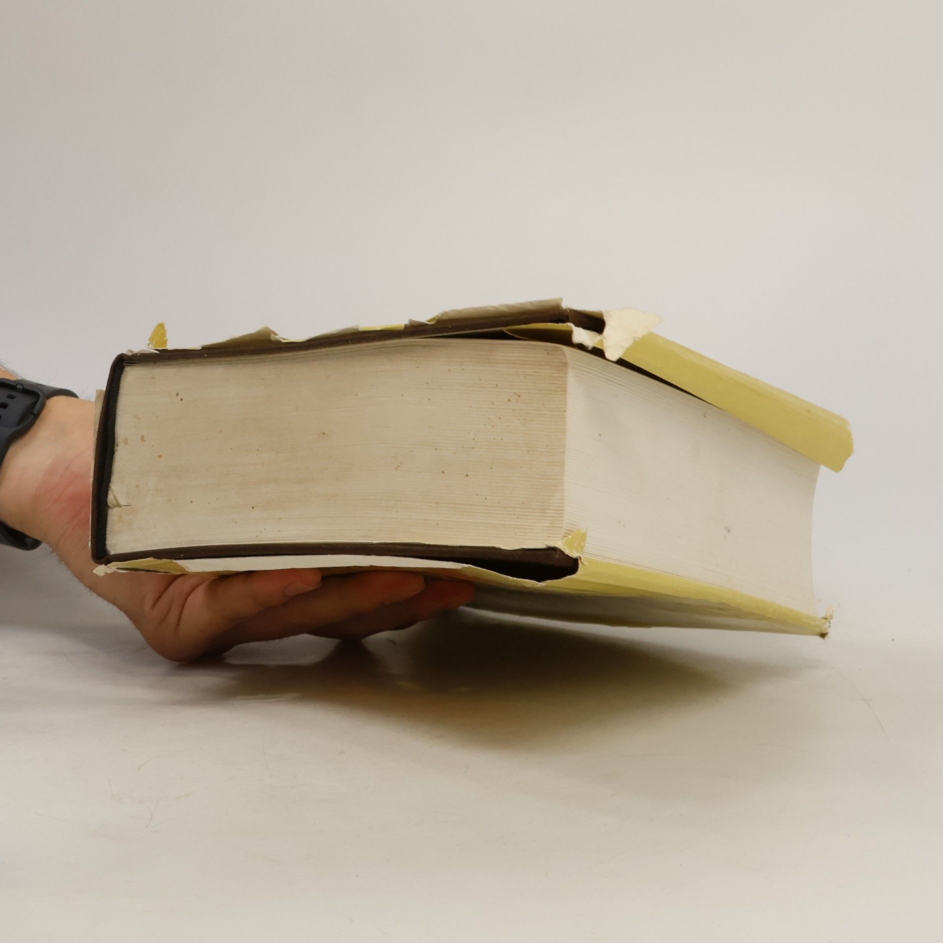 Maria Sophia Schellhammer Das Brandenburgische Koch-Buch oder: Die wohl-unterwiesene Koechinn