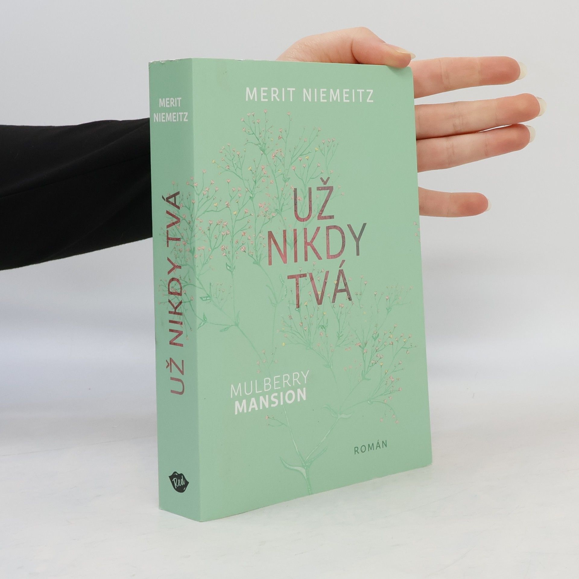 Merit Niemeitz Už nikdy tvá