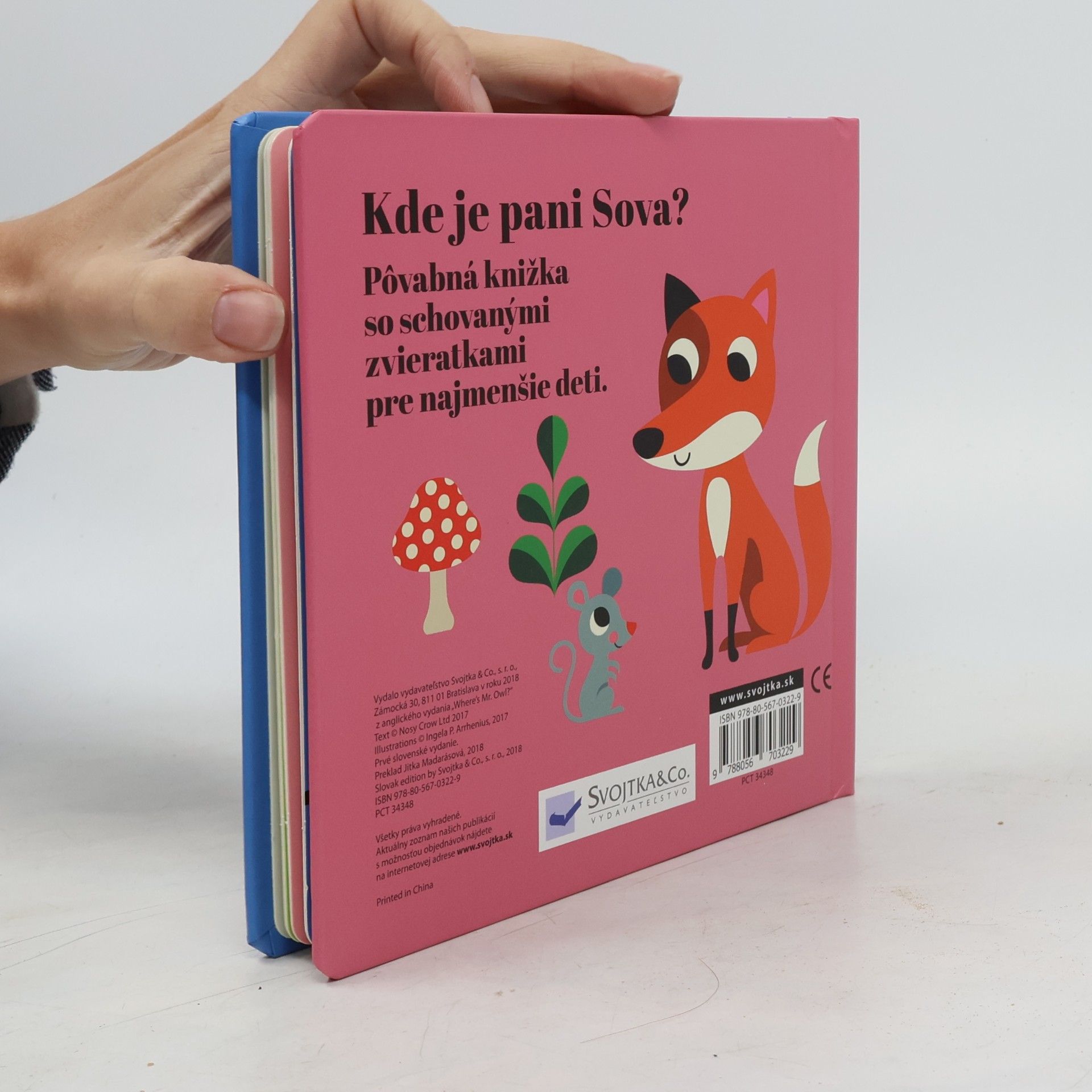 Autorenkollektiv Kde je pani Sova?