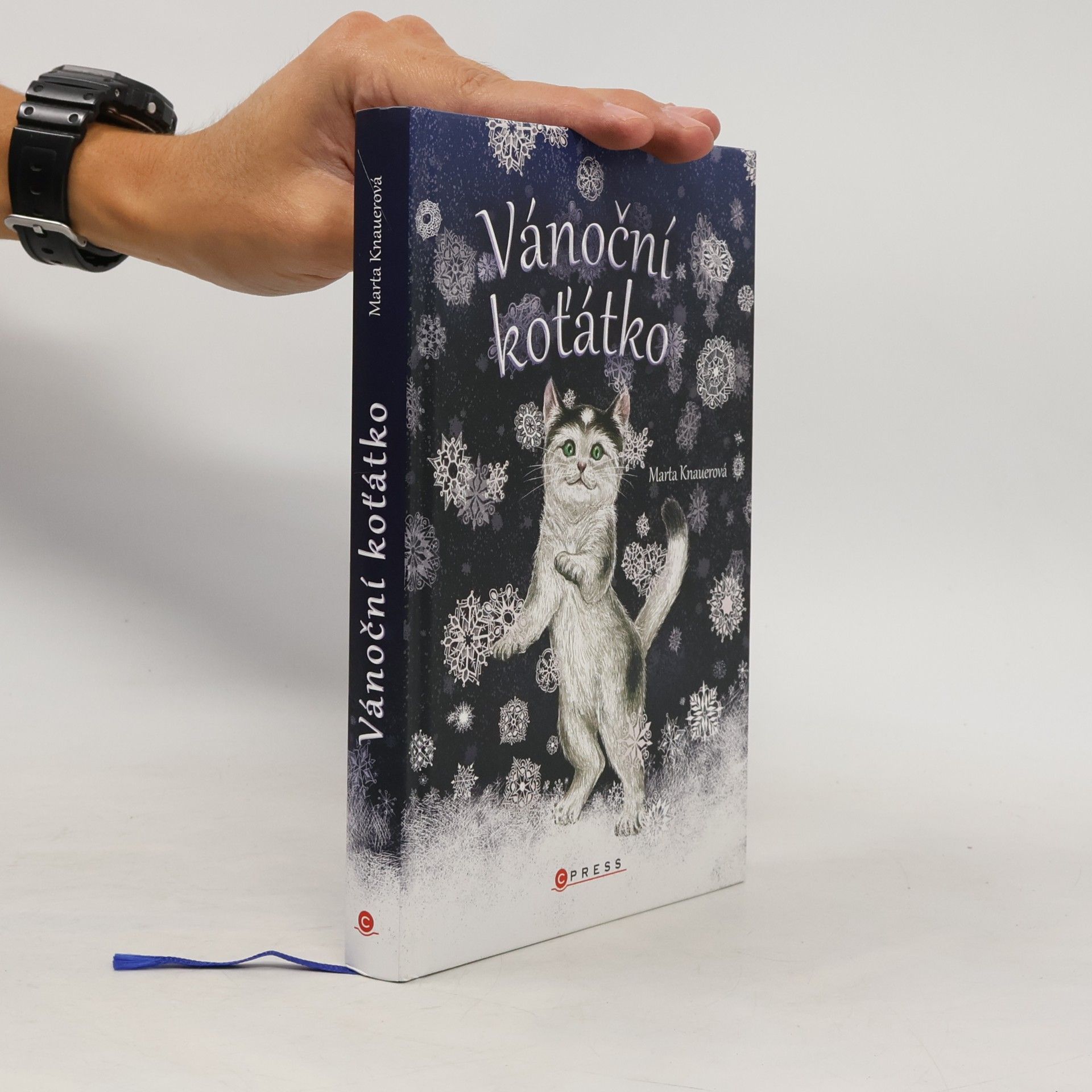 Marta Knauerová Vánoční koťátko