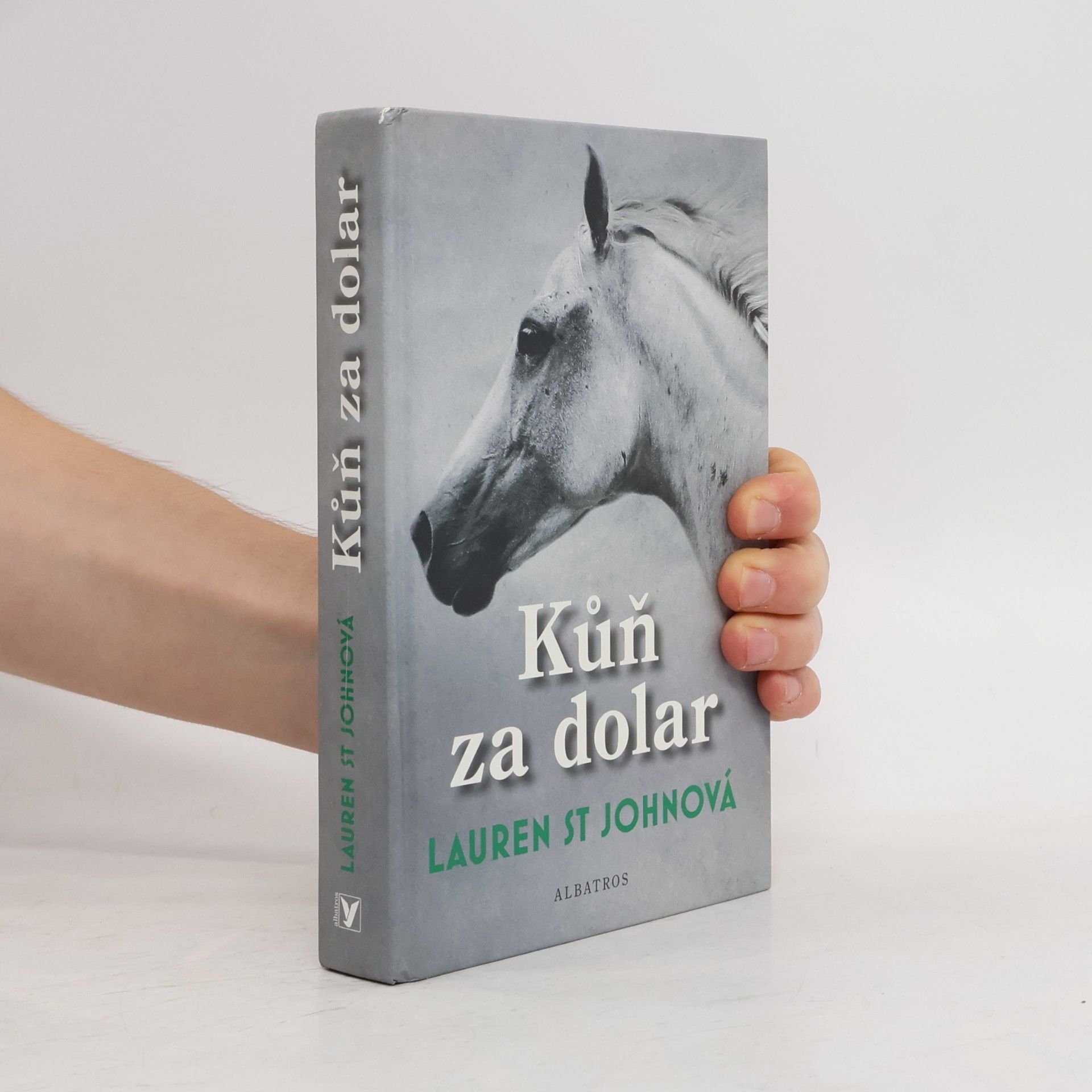 Lauren St. John Kůň za dolar