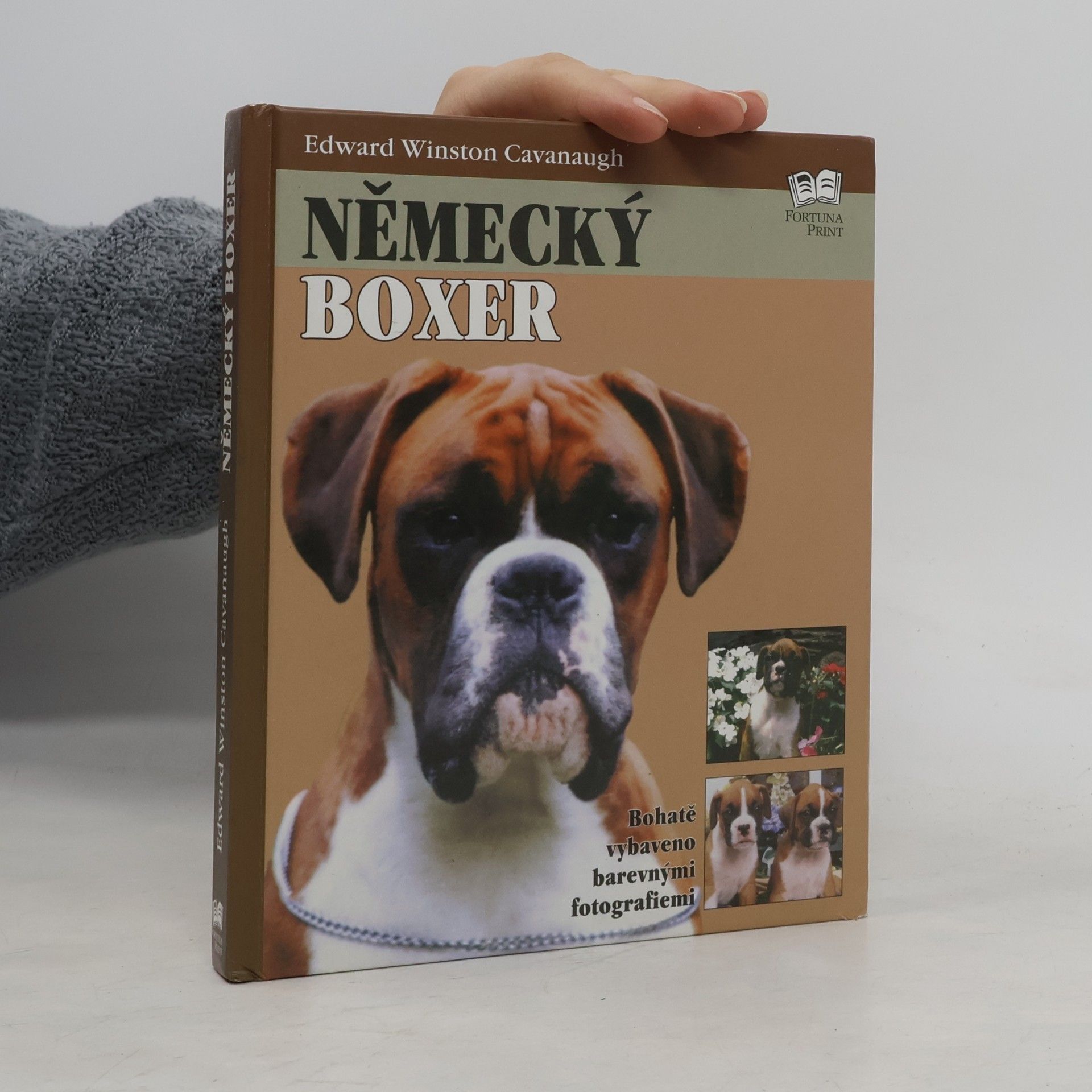 Edward Winston Cavanaugh Německý boxer