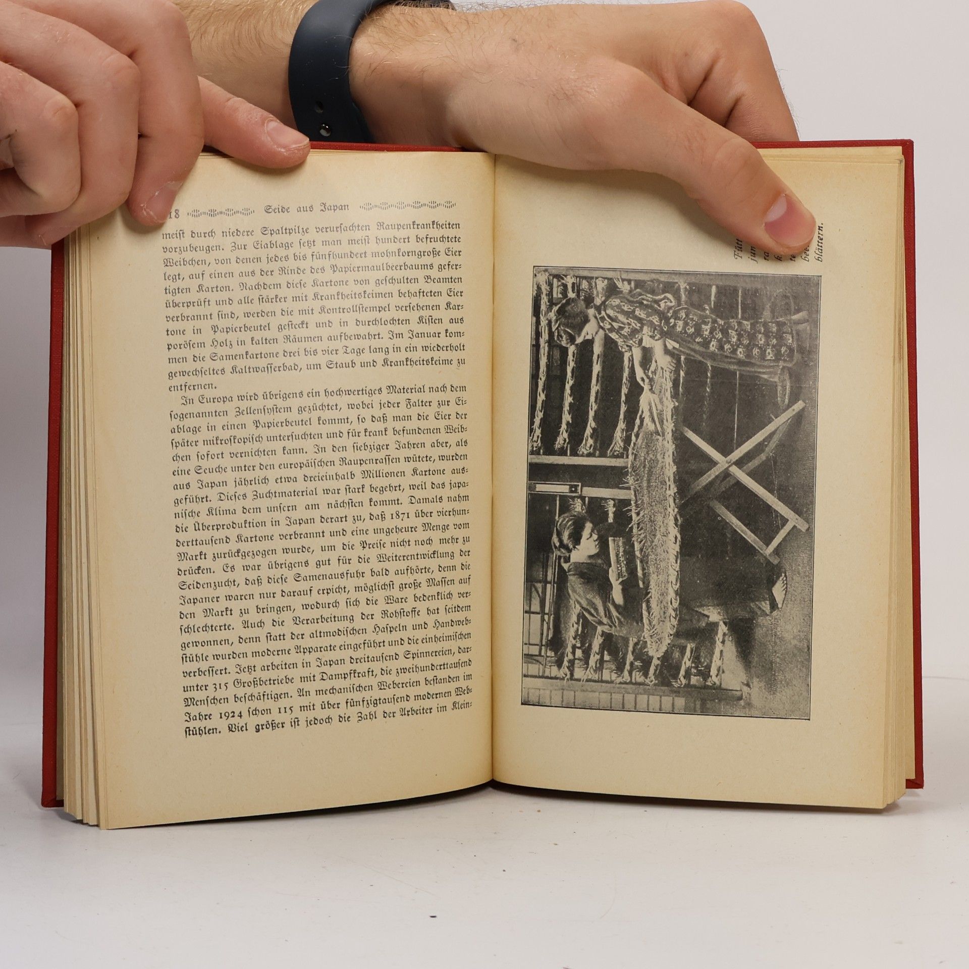 Autorenkollektiv Bibliothek der Unterhaltung und des Wissens Mothek IV.