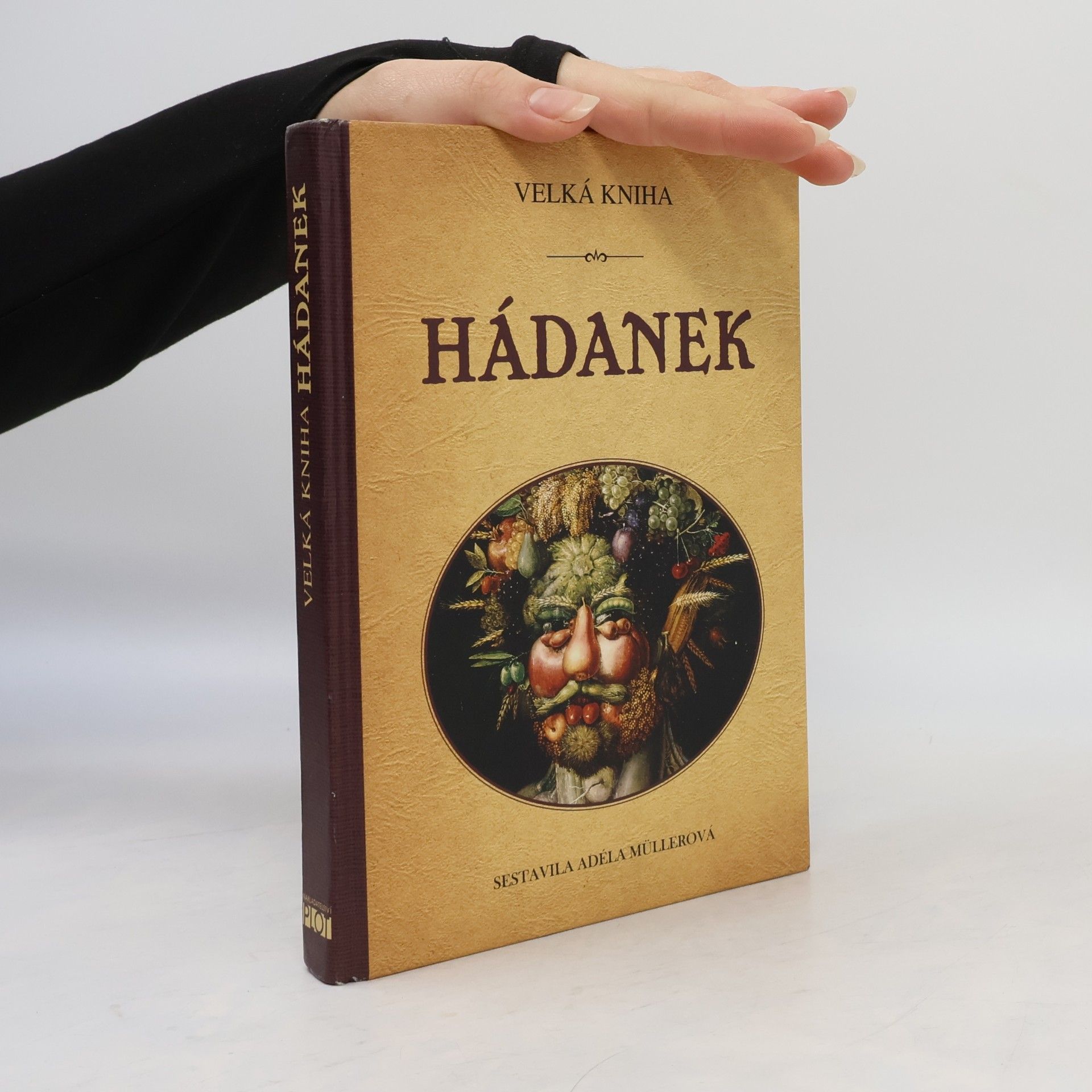 Velká kniha hádanek
