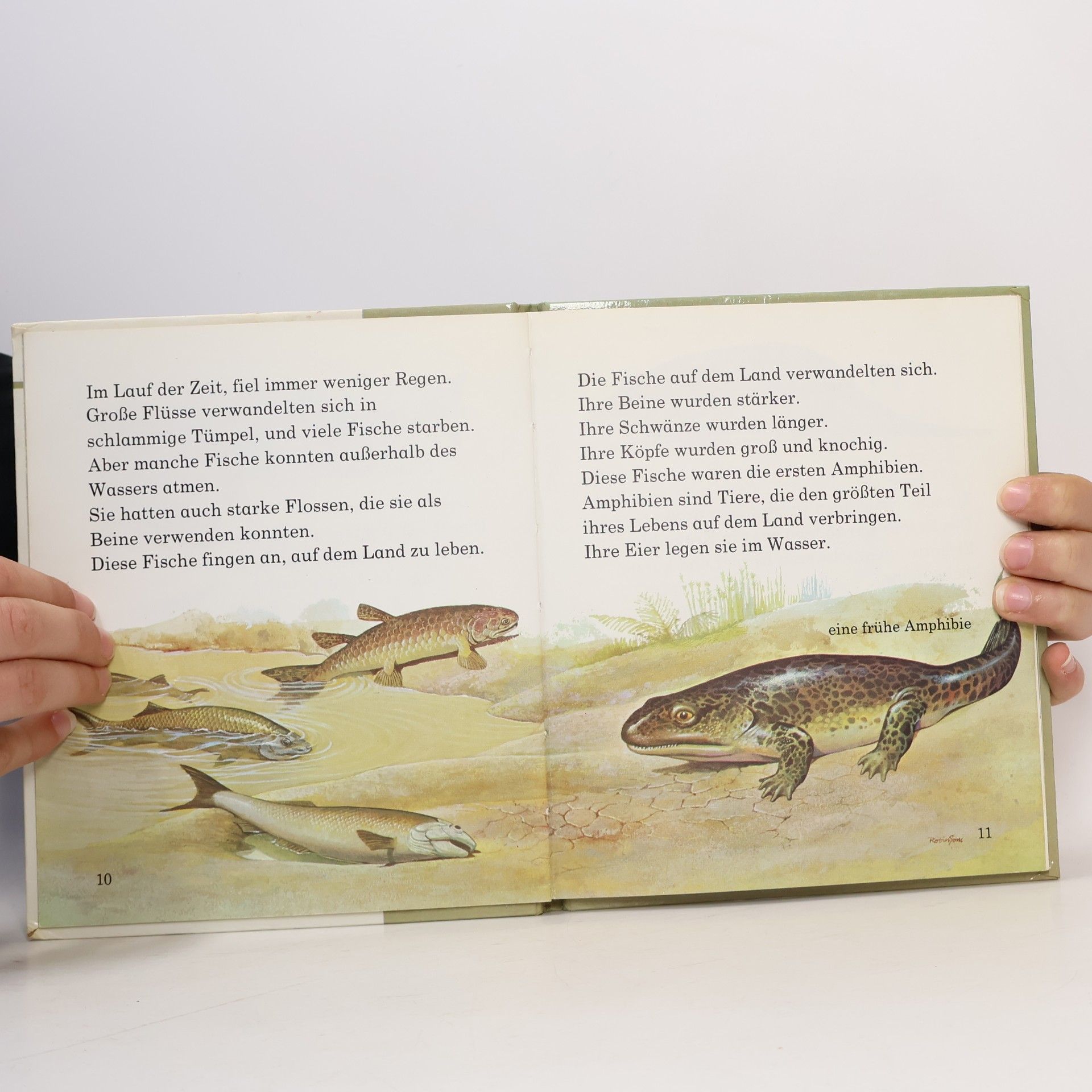 Autorenkollektiv Tiere der Urwelt