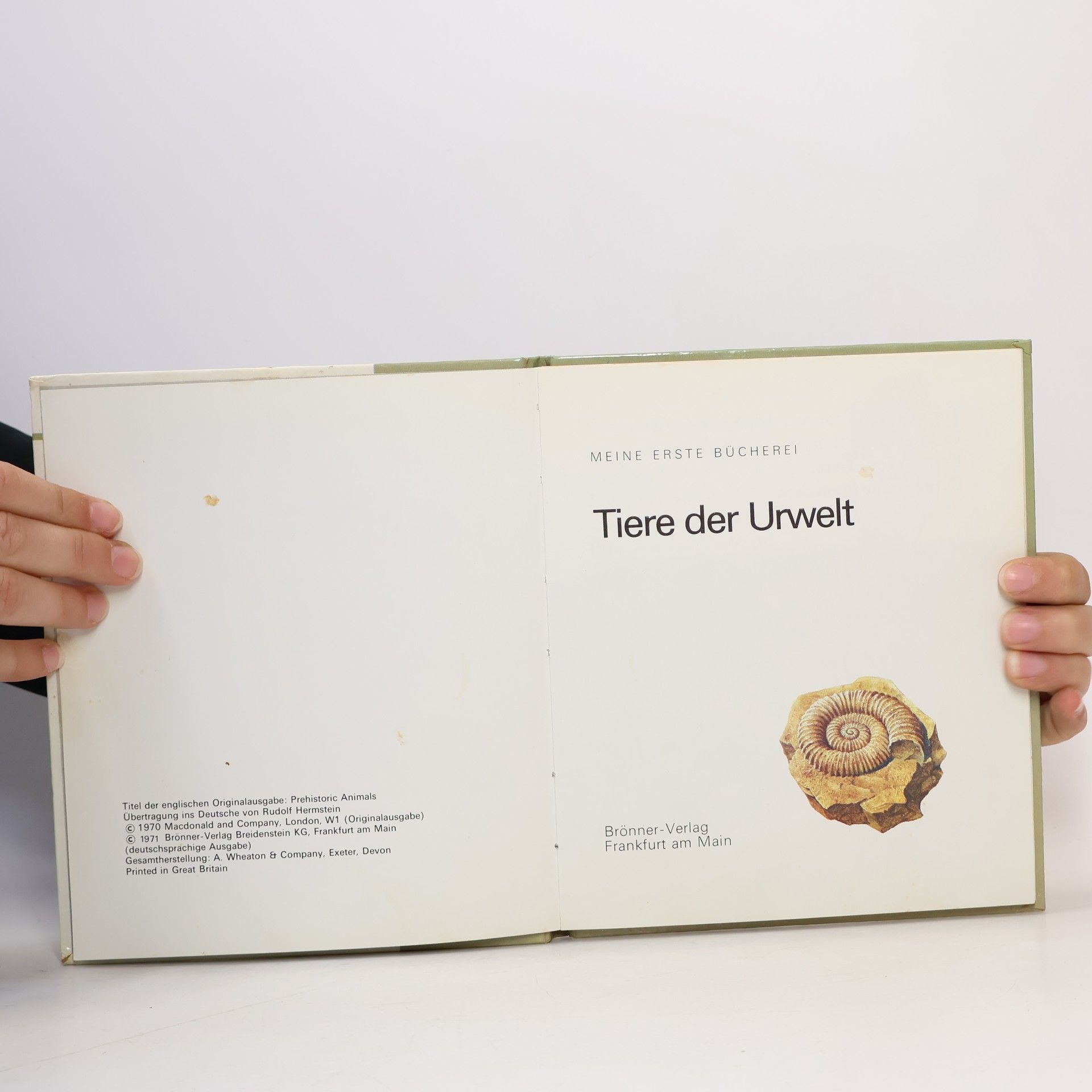 Autorenkollektiv Tiere der Urwelt