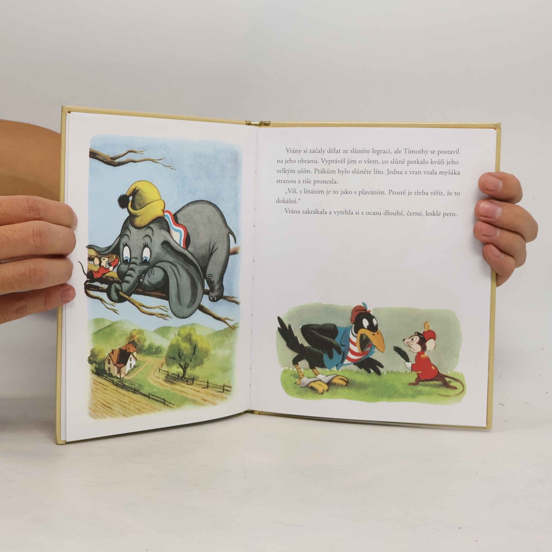 Autorenkollektiv Zlatá sbírka pohádek 5. Dumbo