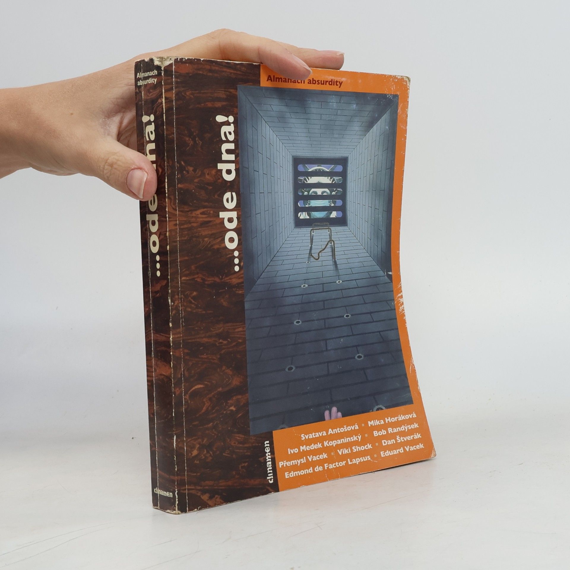 Viktorie Rybáková ...ode dna! Almanach absurdity