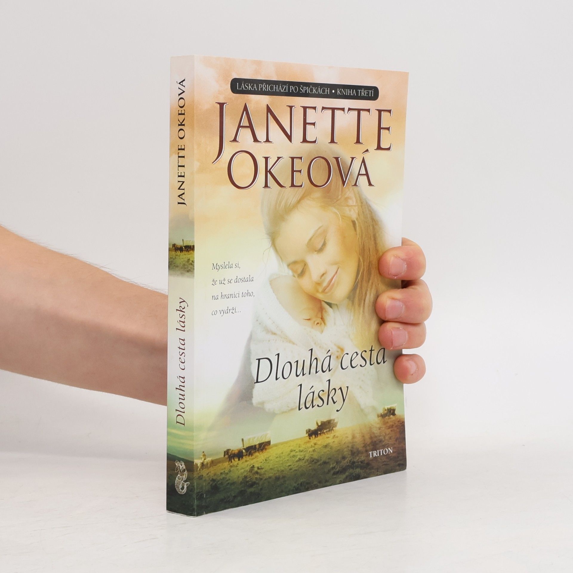 Janette Oke Dlouhá cesta lásky