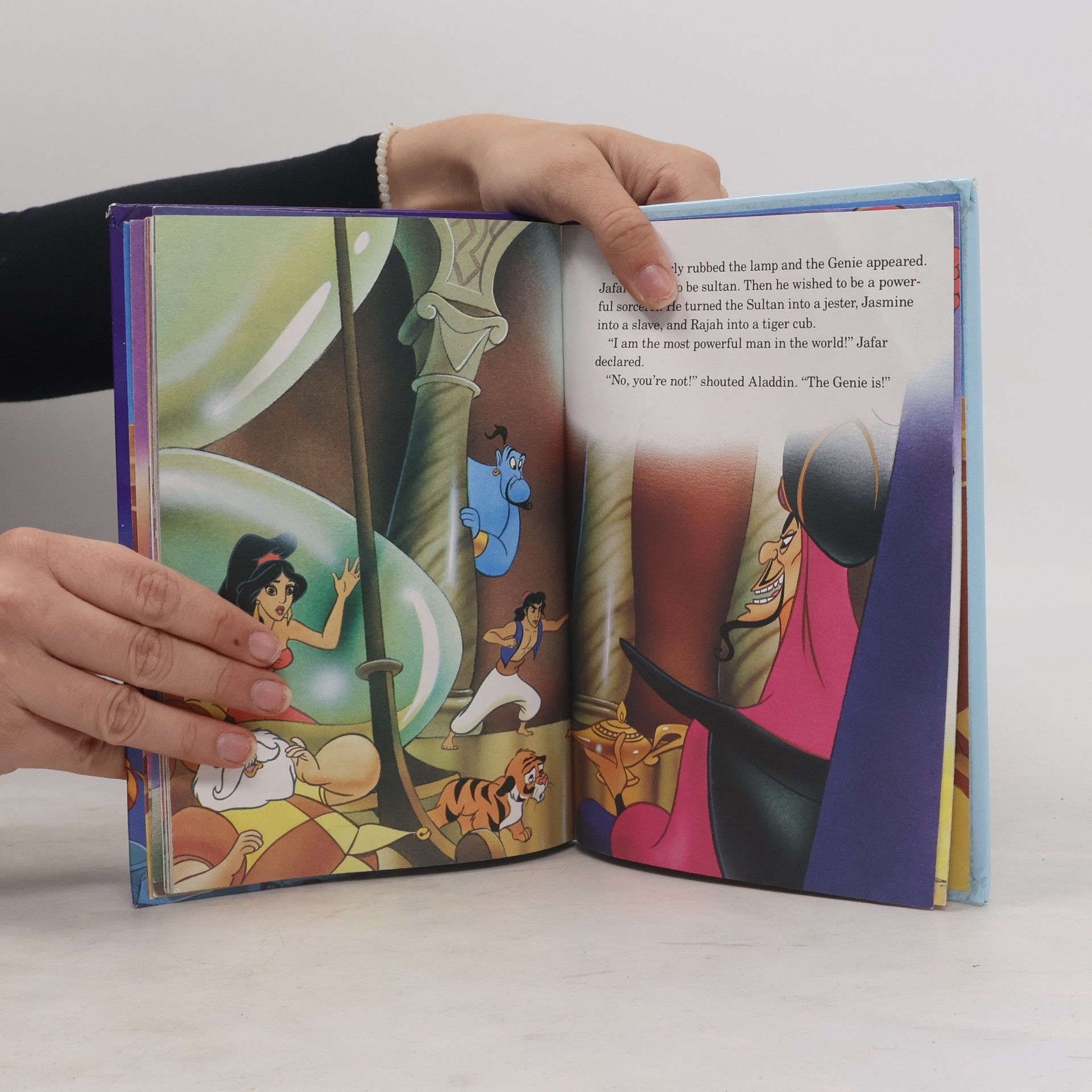 Autorenkollektiv Aladdin