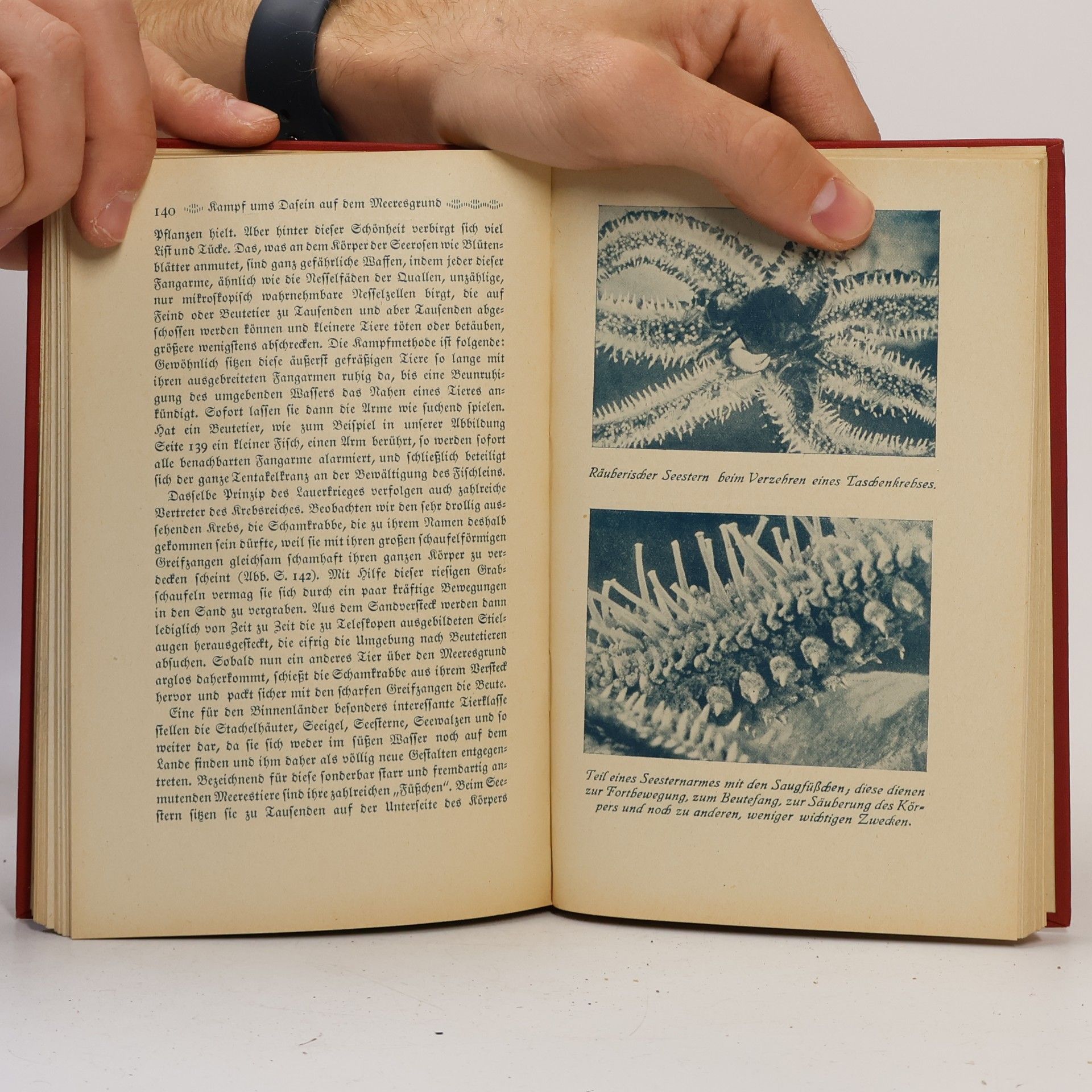 G. Dilly Bibliothek der Unterhaltung und des Wissens