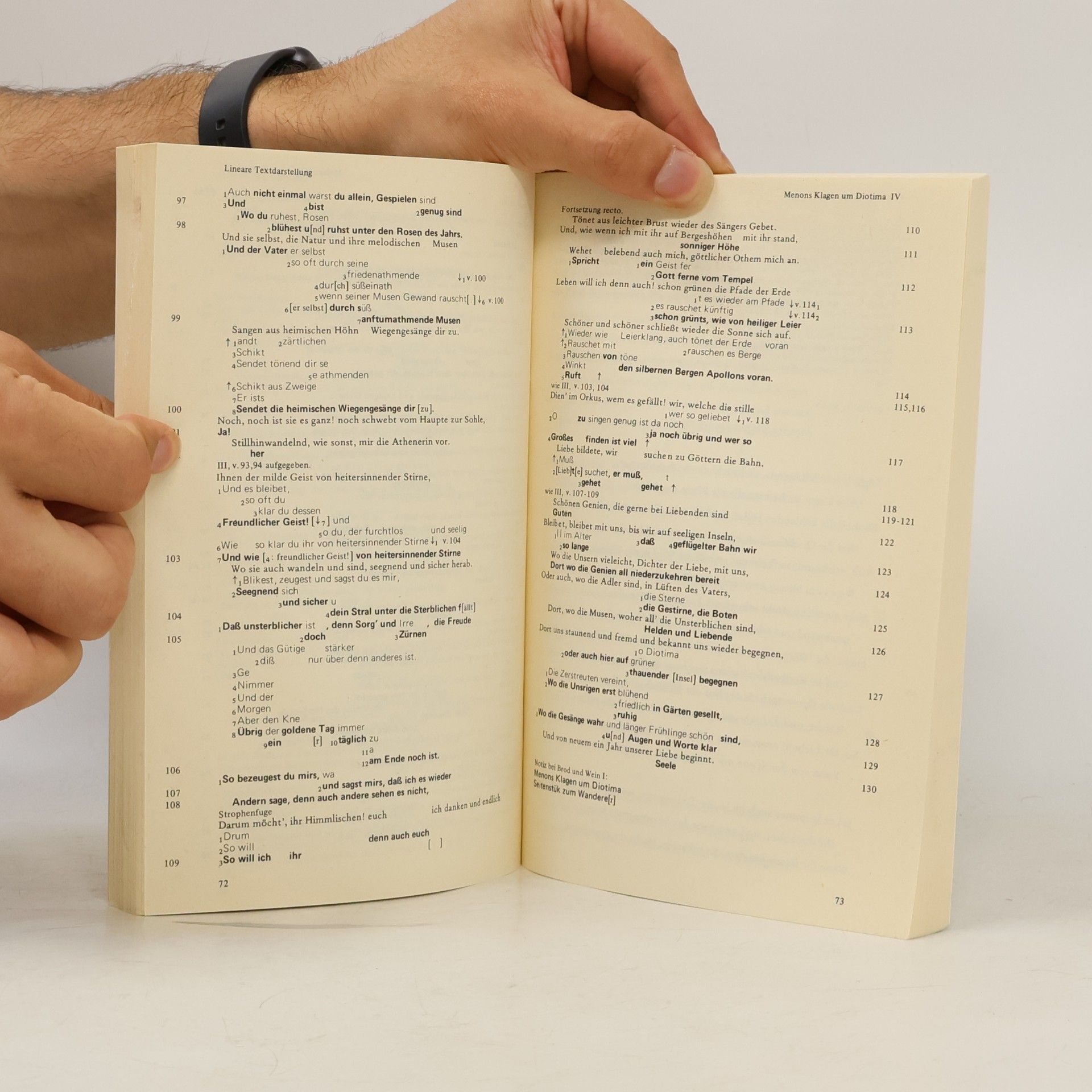 Friedrich Hölderlin Sämtliche Werke. Kritische Textausgabe. Band 6. Elegien und Epigramme