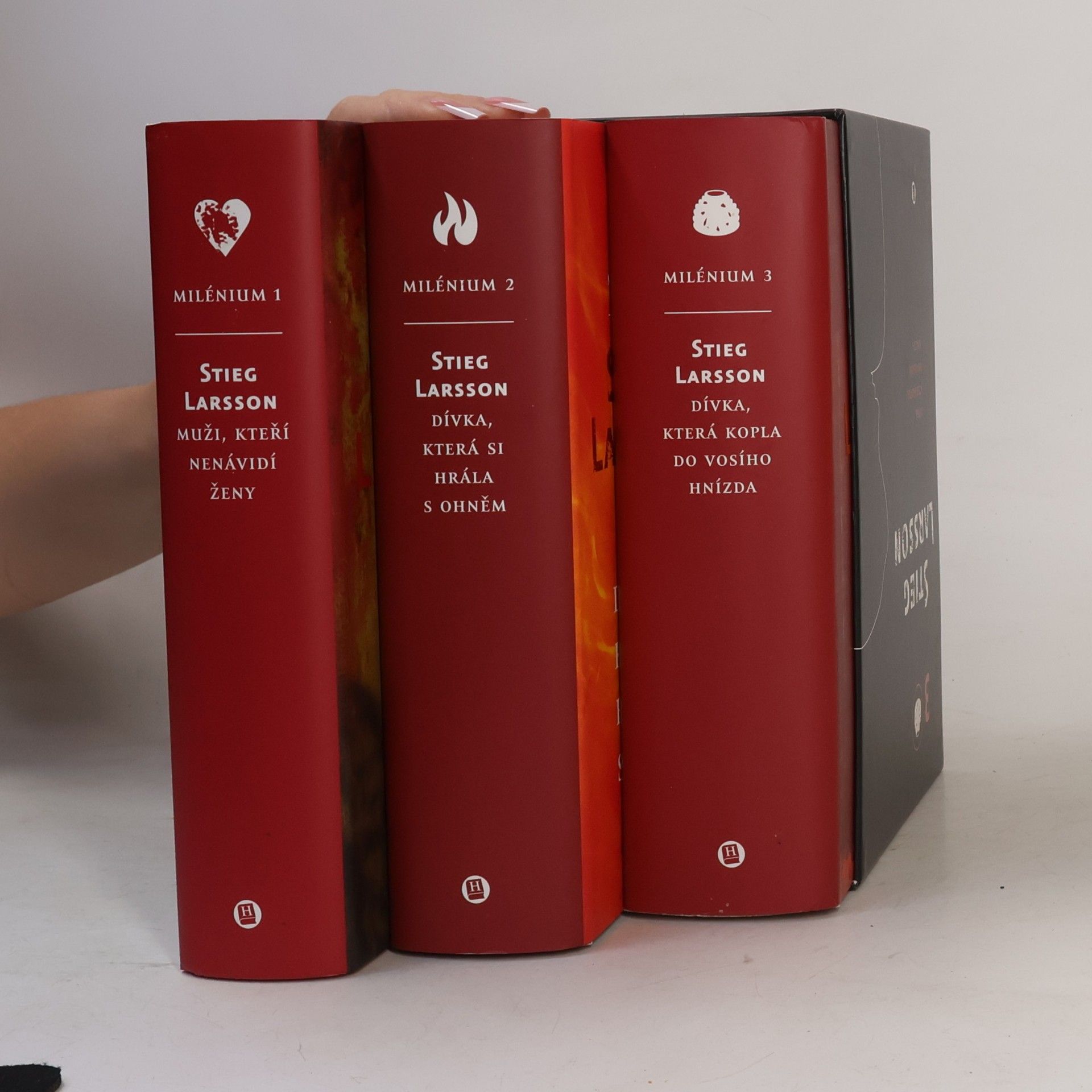 Stieg Larsson Milénium 1-3: Dívka, která kopla do vosího hnízda