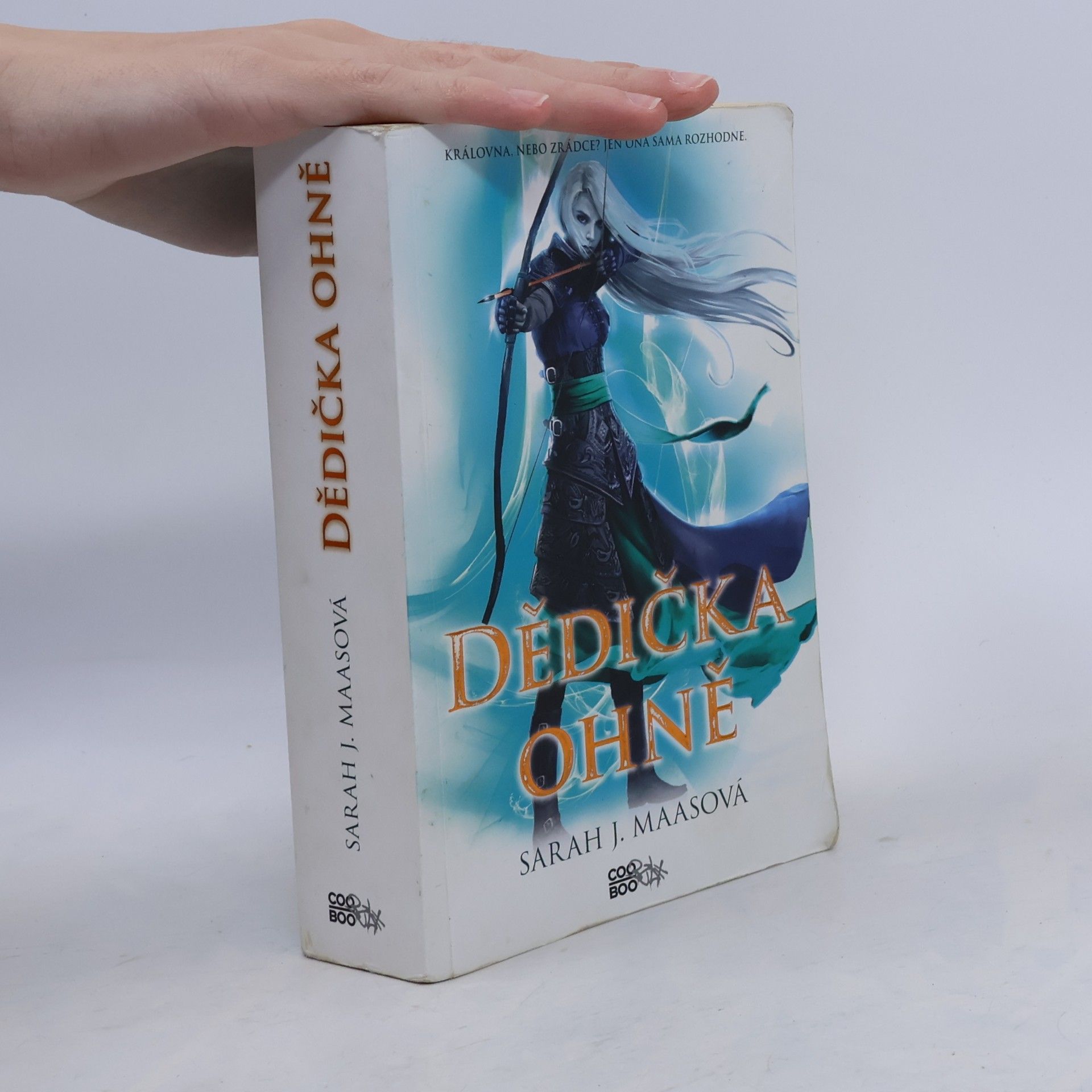 Sarah J. Maas Dědička ohně