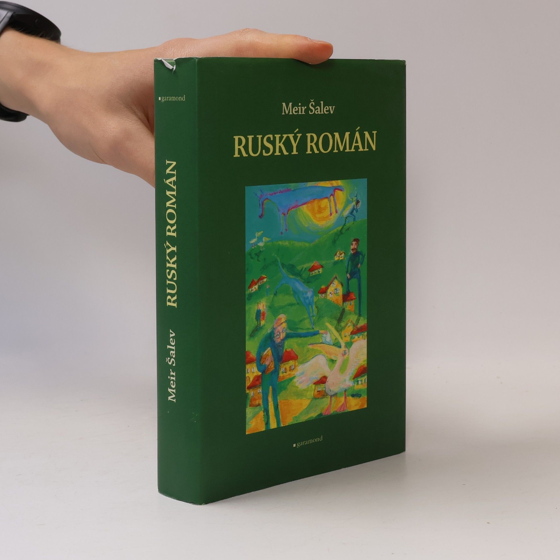 Meir Shalev Ruský román