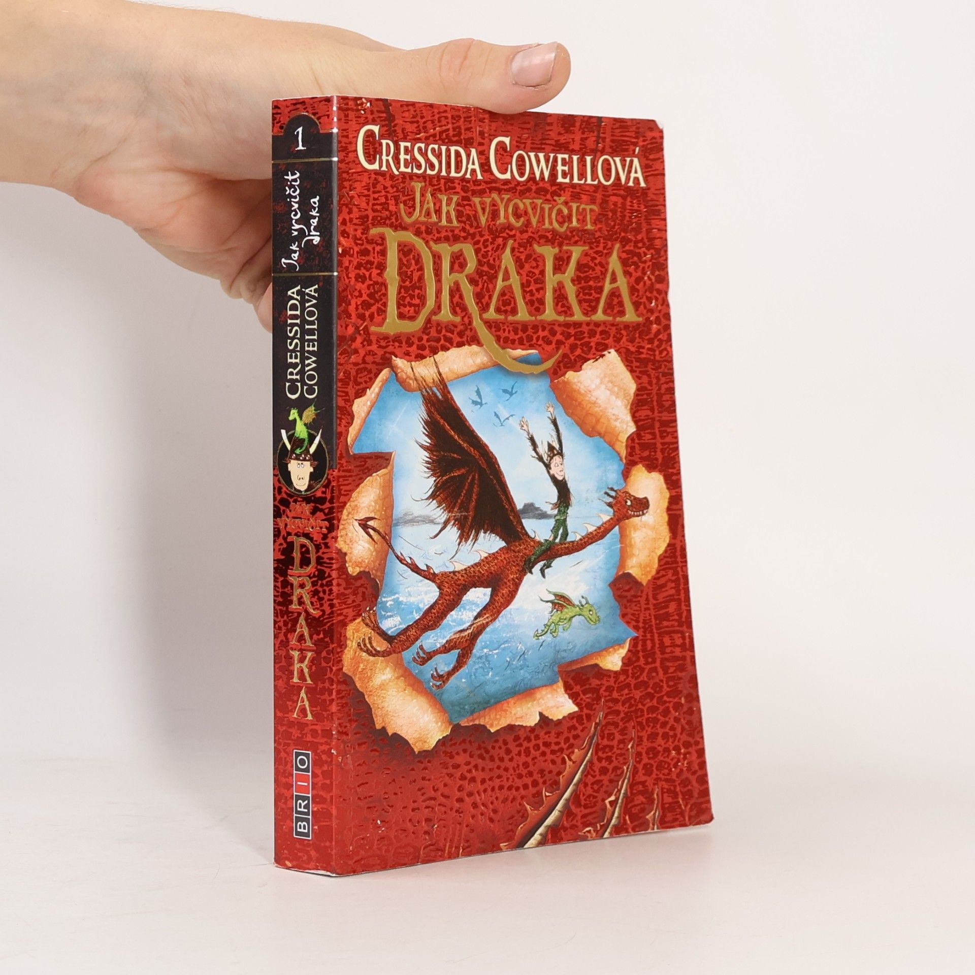 Cressida Cowell Jak vycvičit draka 1