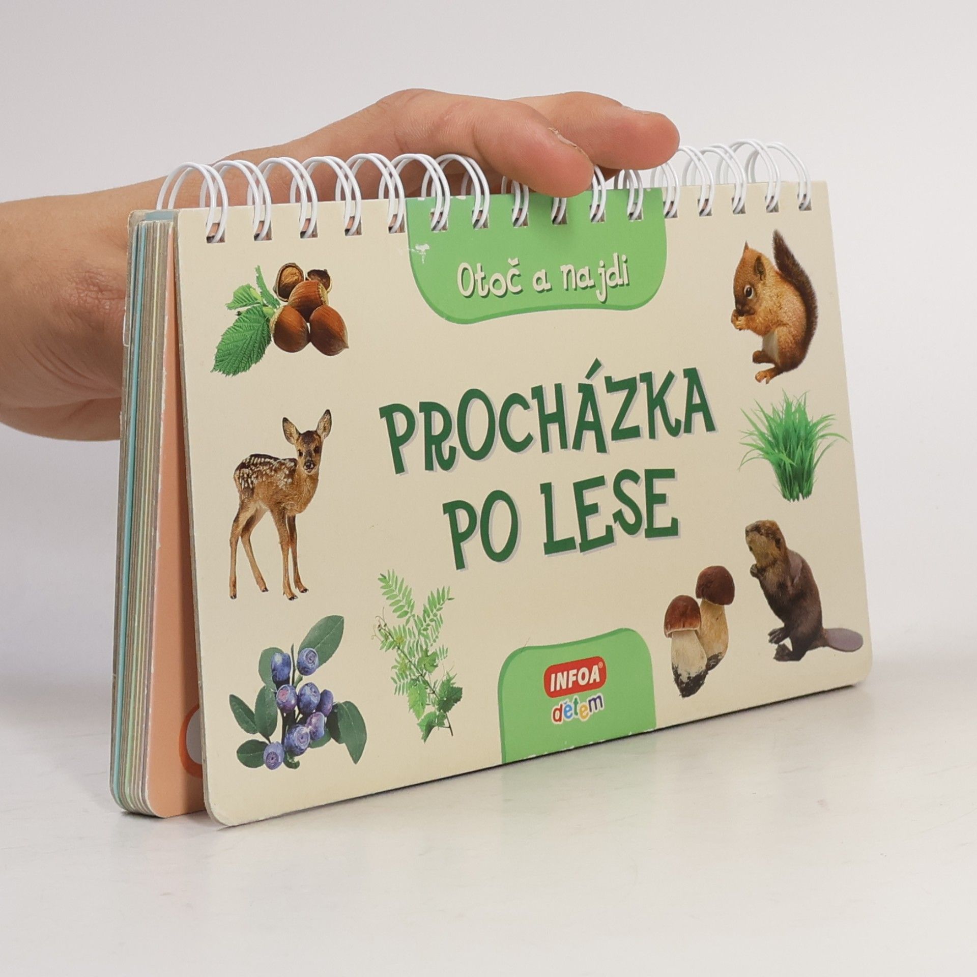 kolektiv Procházka po lese