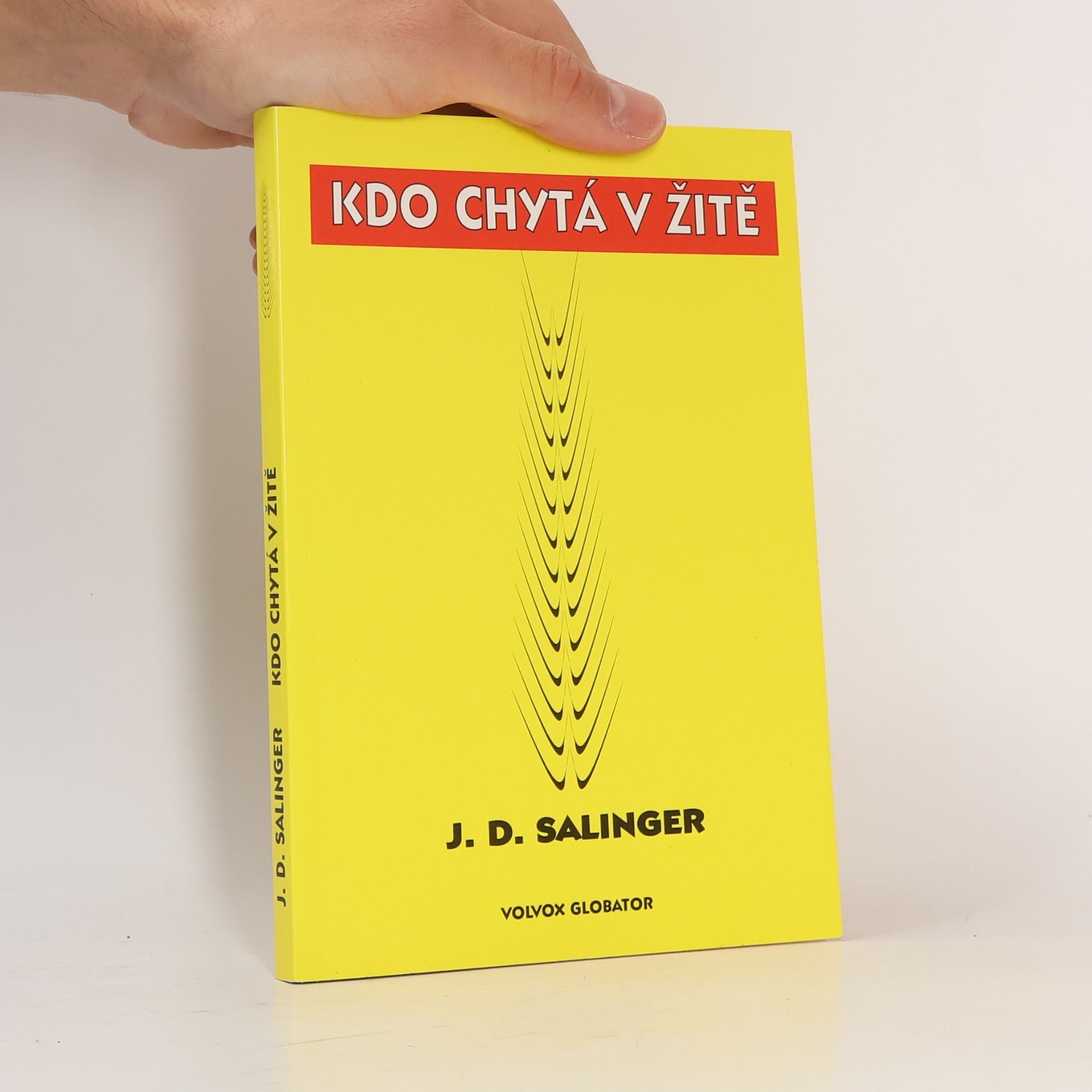 J. D. Salinger Kdo chytá v žitě