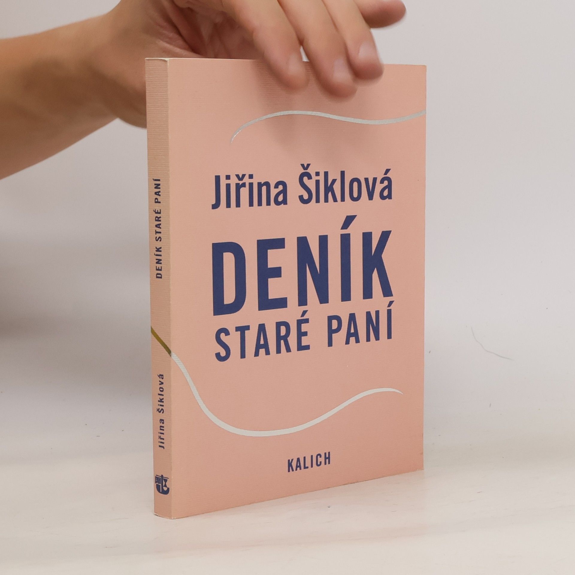 Jiřina Šiklová Deník staré paní