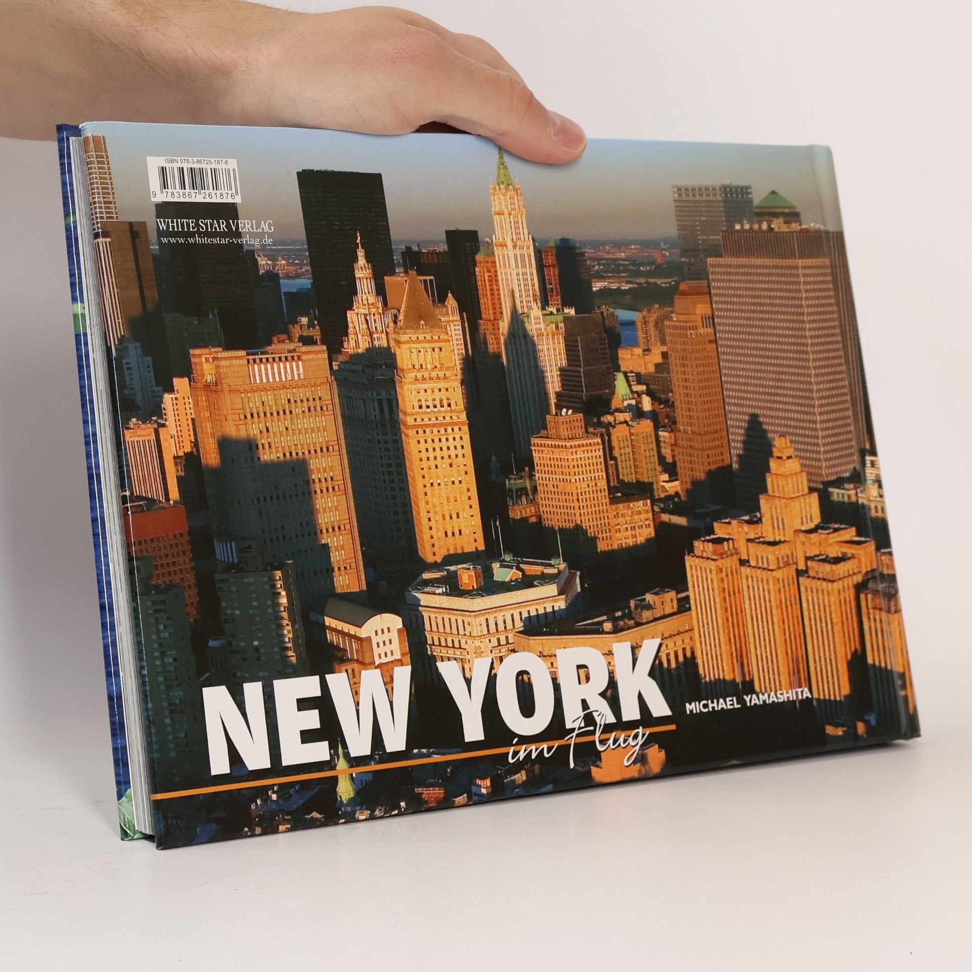 Michael Yamashita New York im Flug