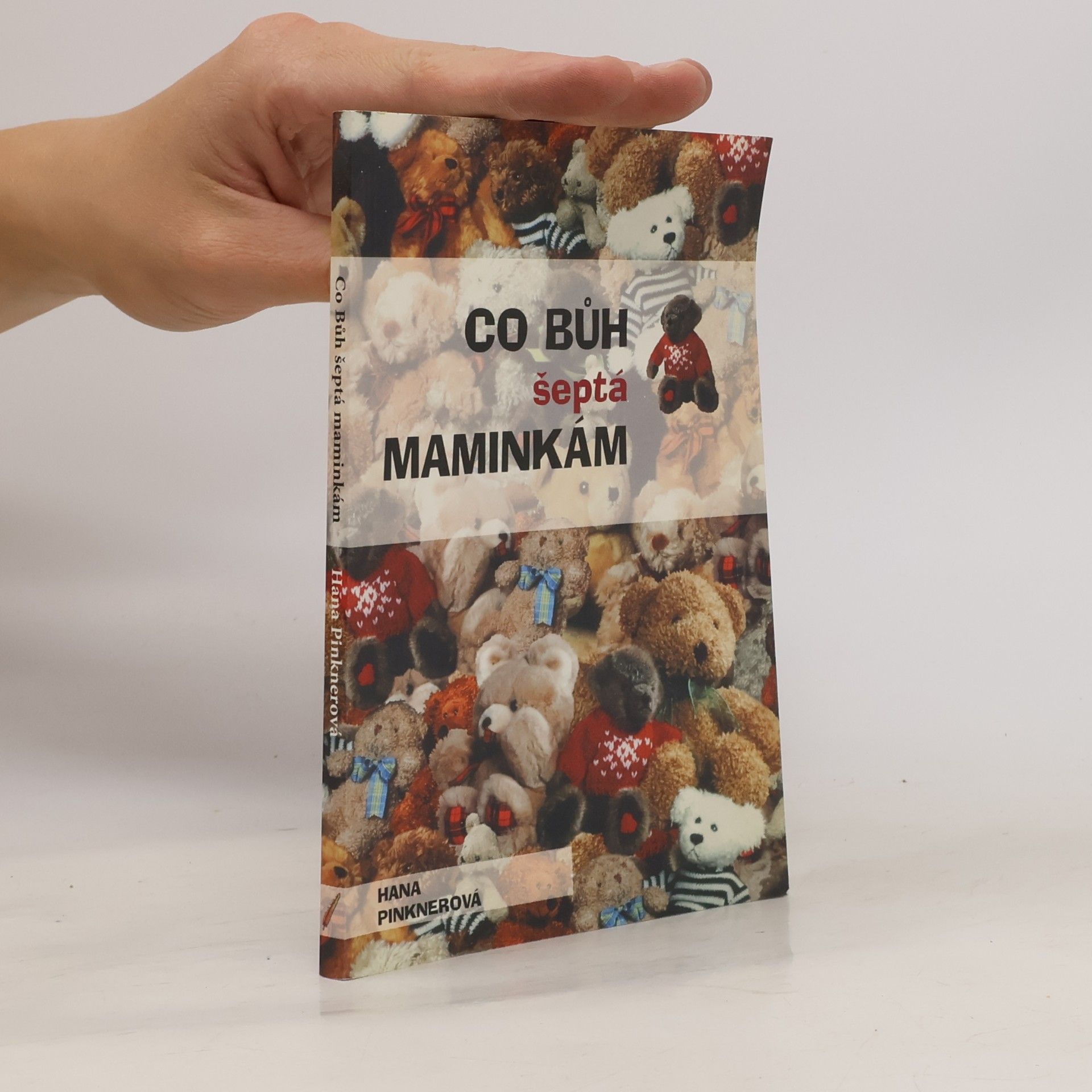 Hana Pinknerová Co bůh šeptá maminkám