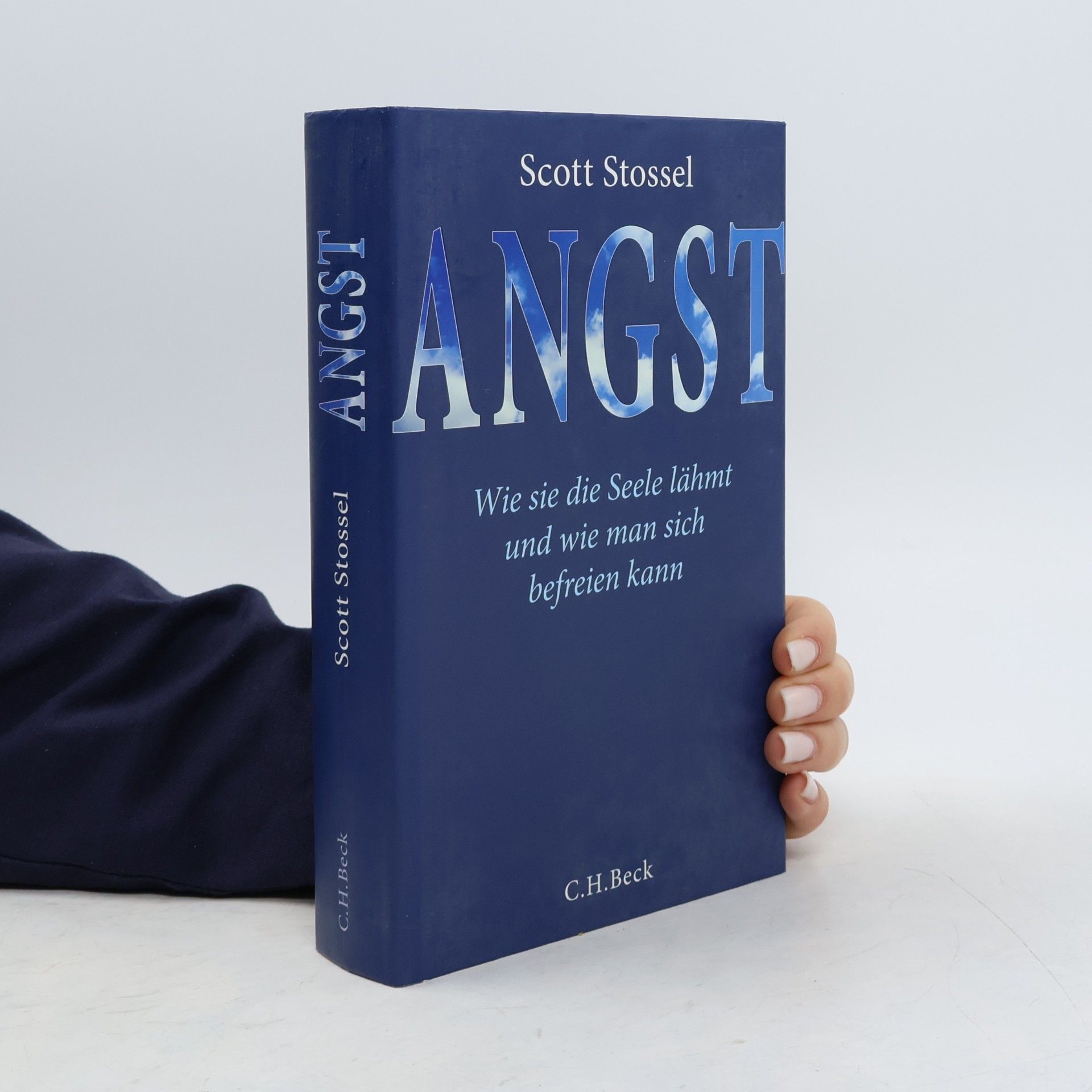 Scott Stossel Angst