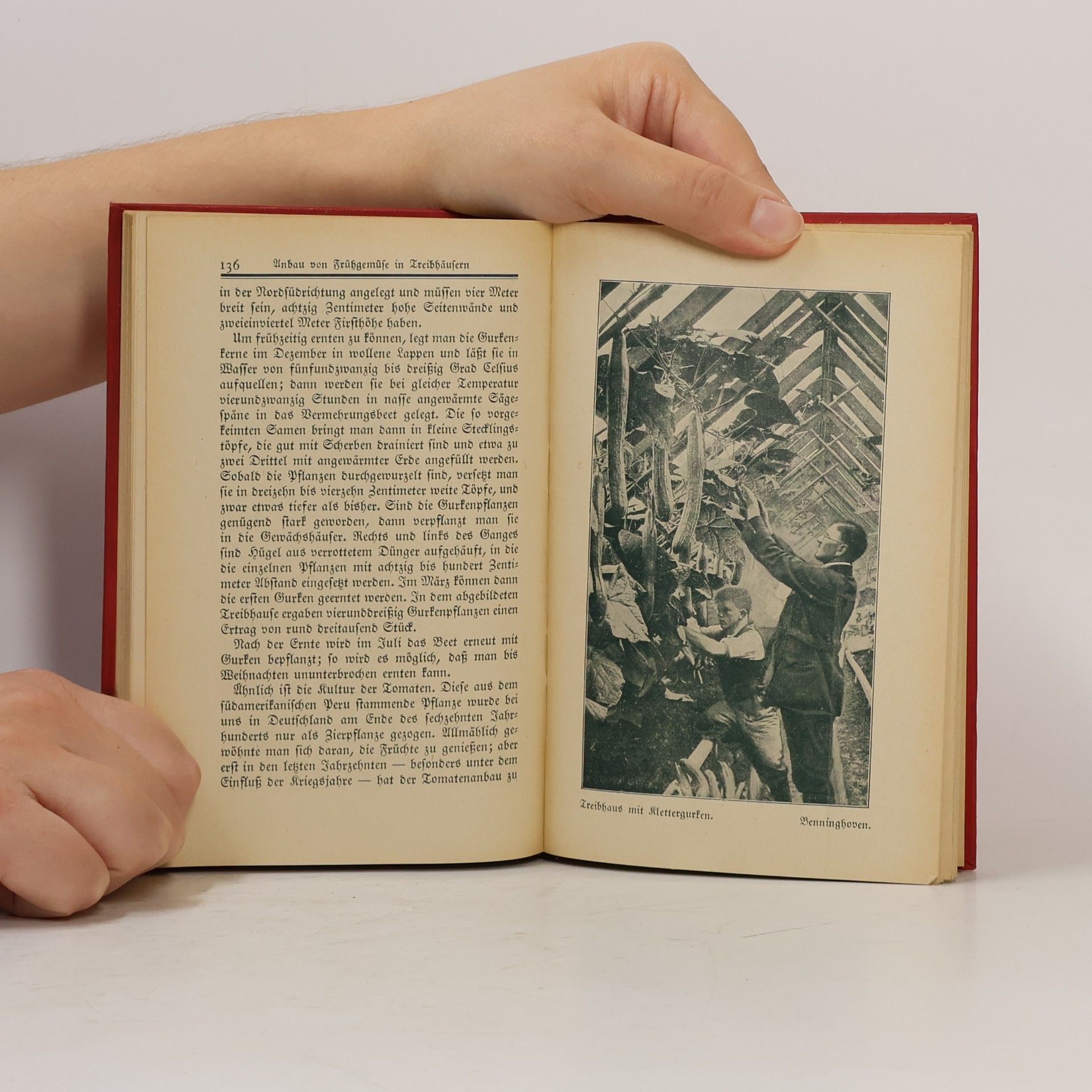 Autorenkollektiv Bibliothek der Unterhaltung und des Wissens, Band 11