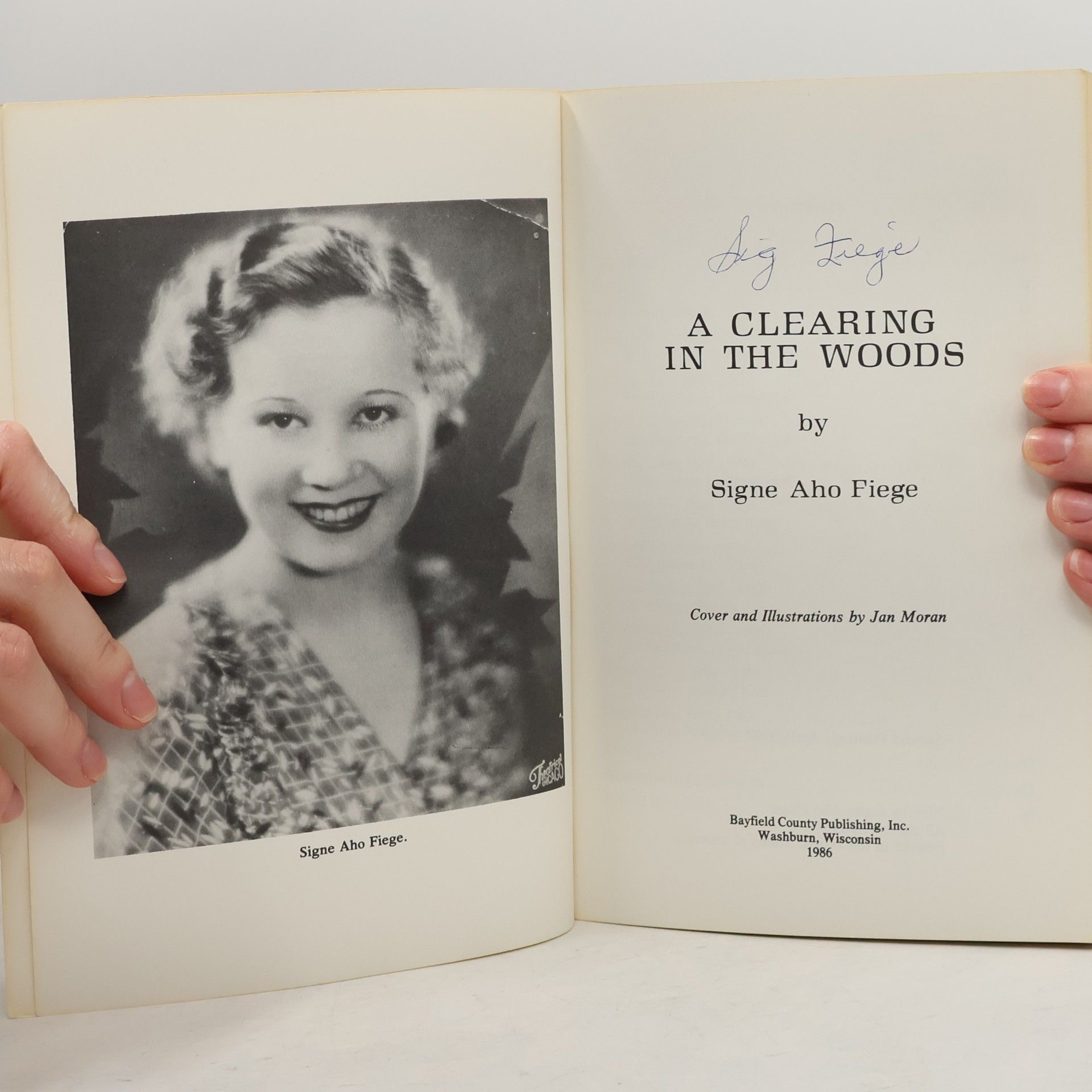 Signe Aho Fiege A Clearing in the Woods