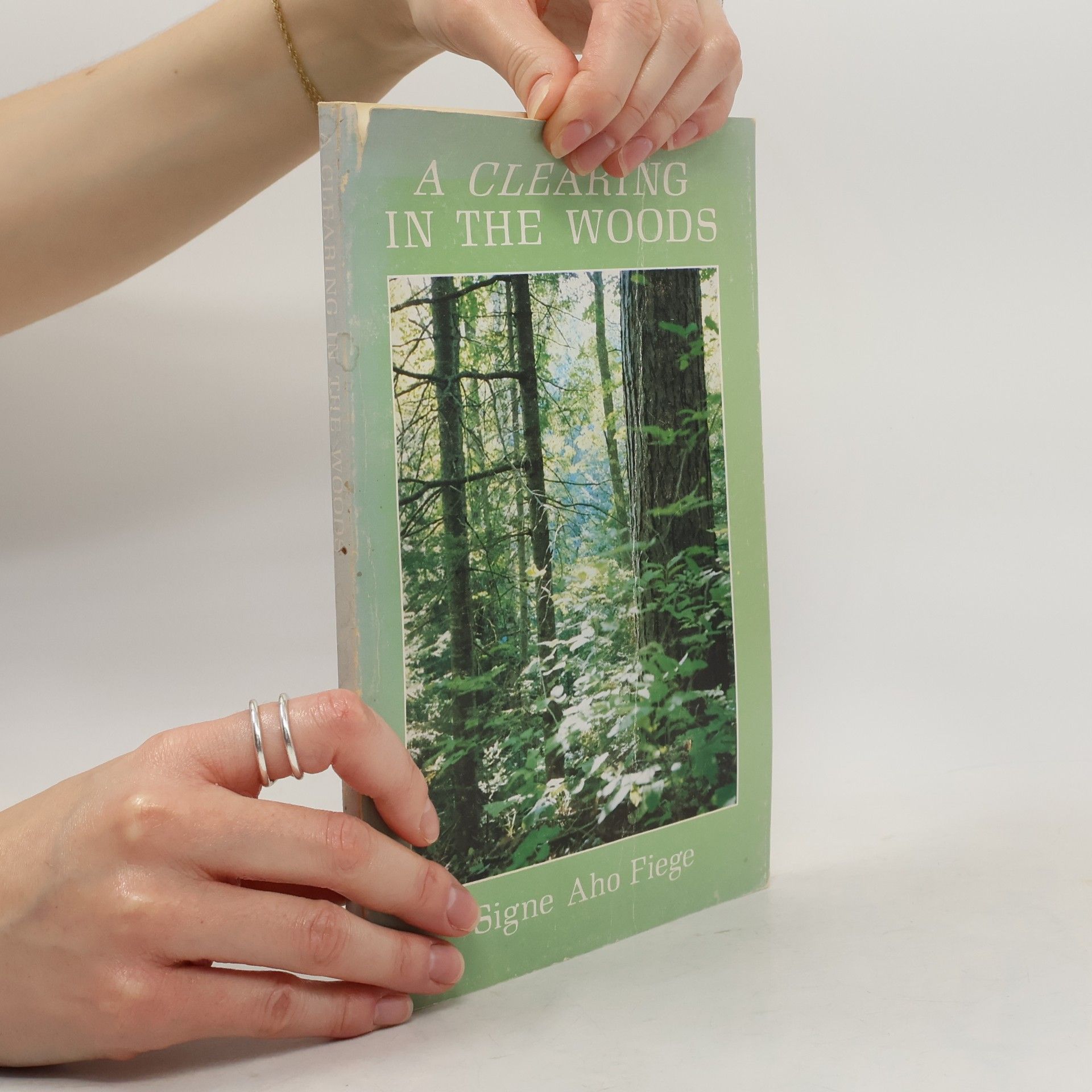 Signe Aho Fiege A Clearing in the Woods