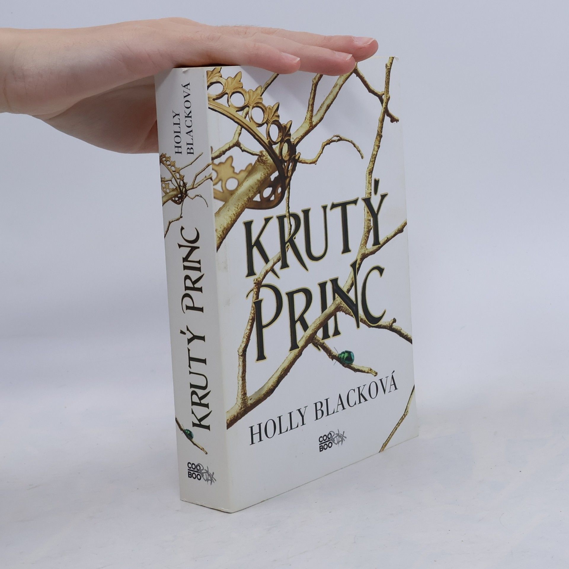 Holly Black Krutý princ 1. Krutý princ