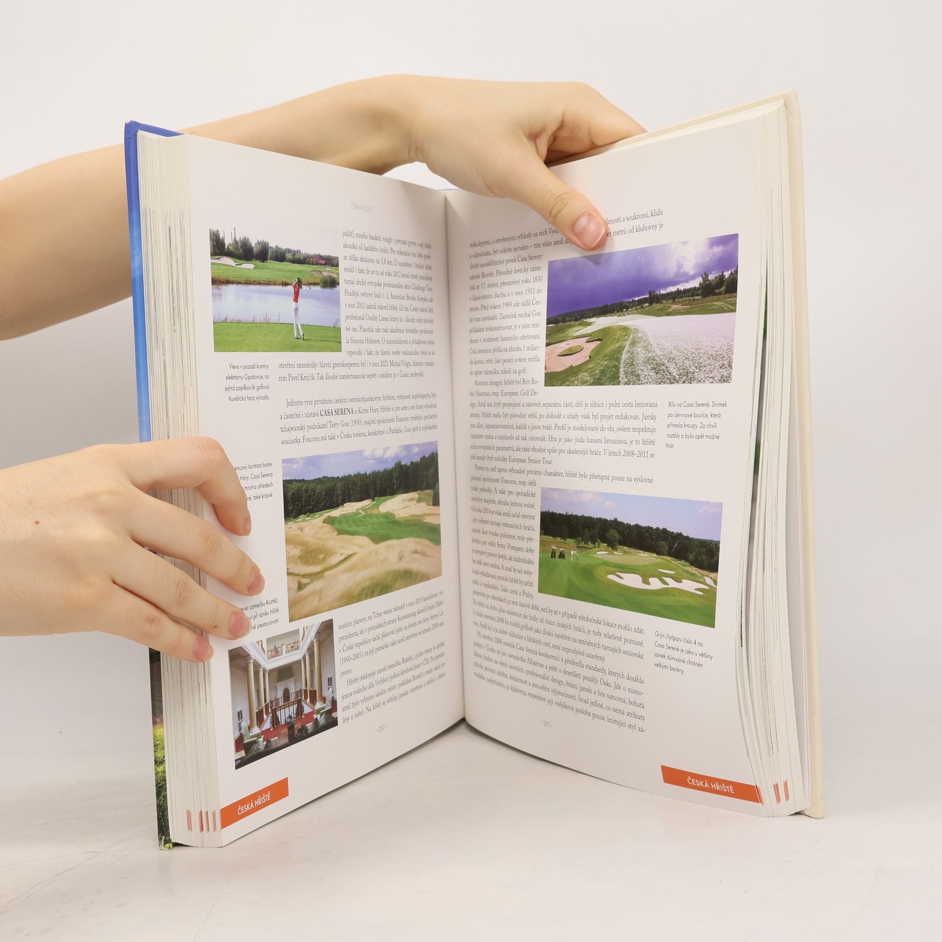 Andrej Halada Český golf : historie od roku 1990 do současnosti