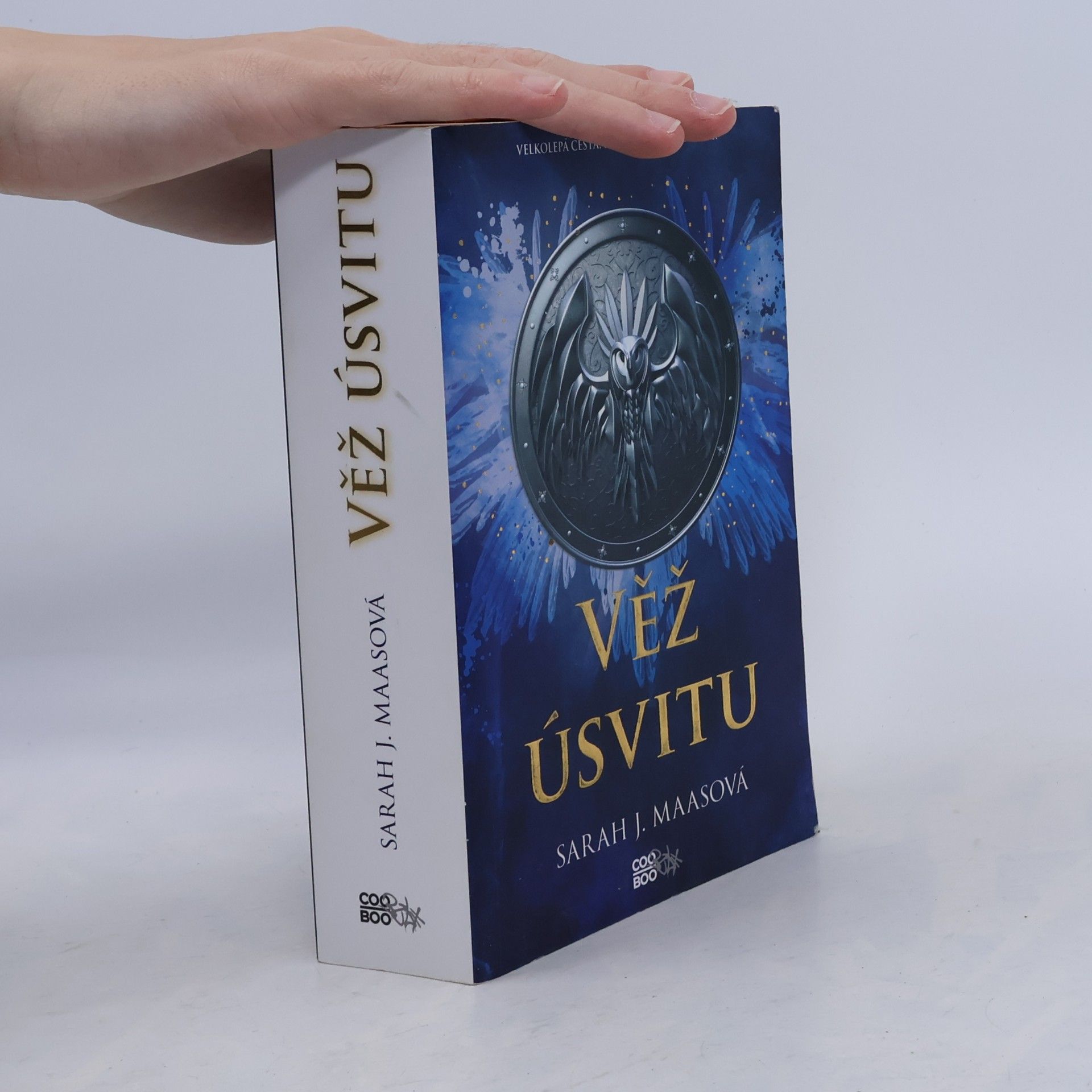 Věž úsvitu
