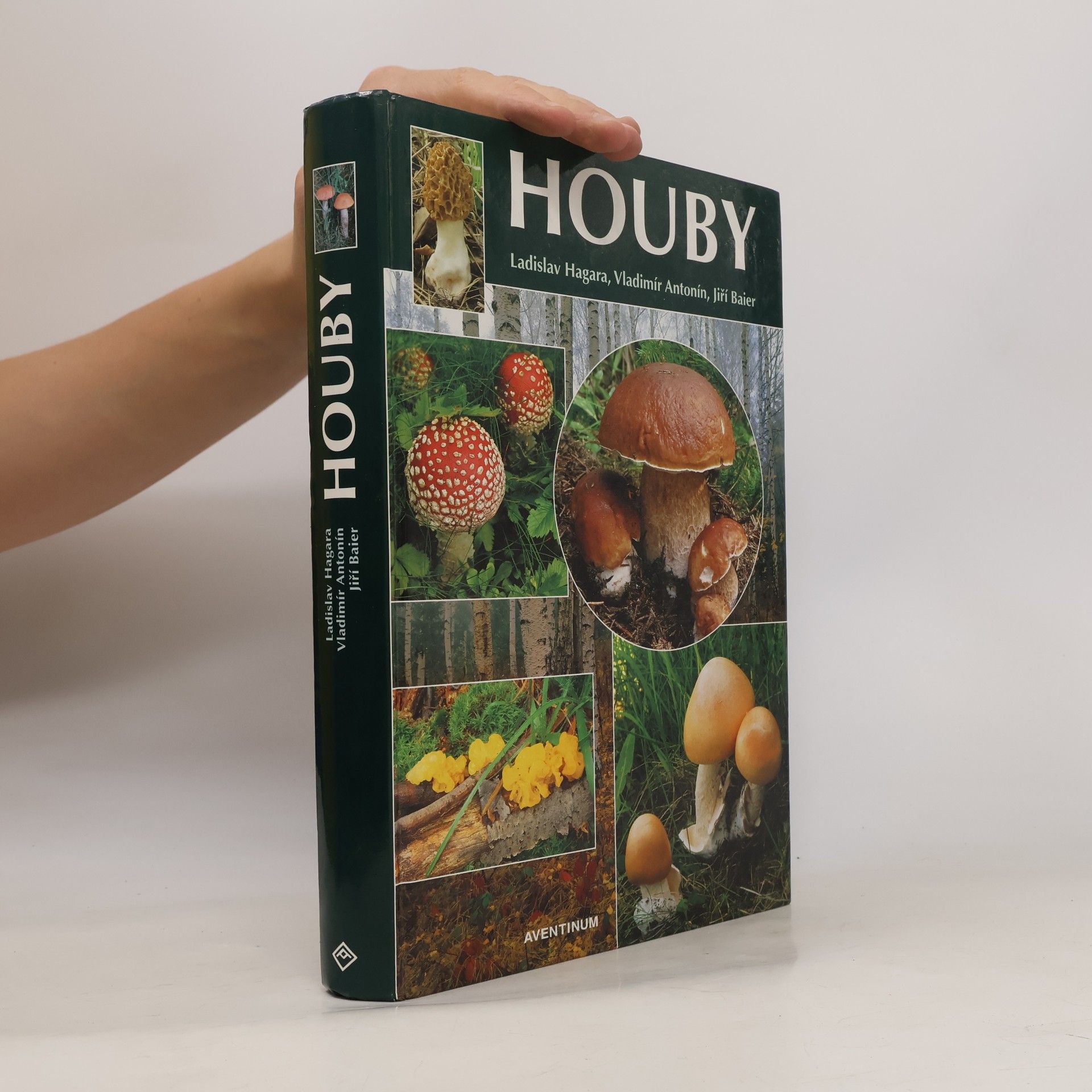 Ladislav Hagara Houby