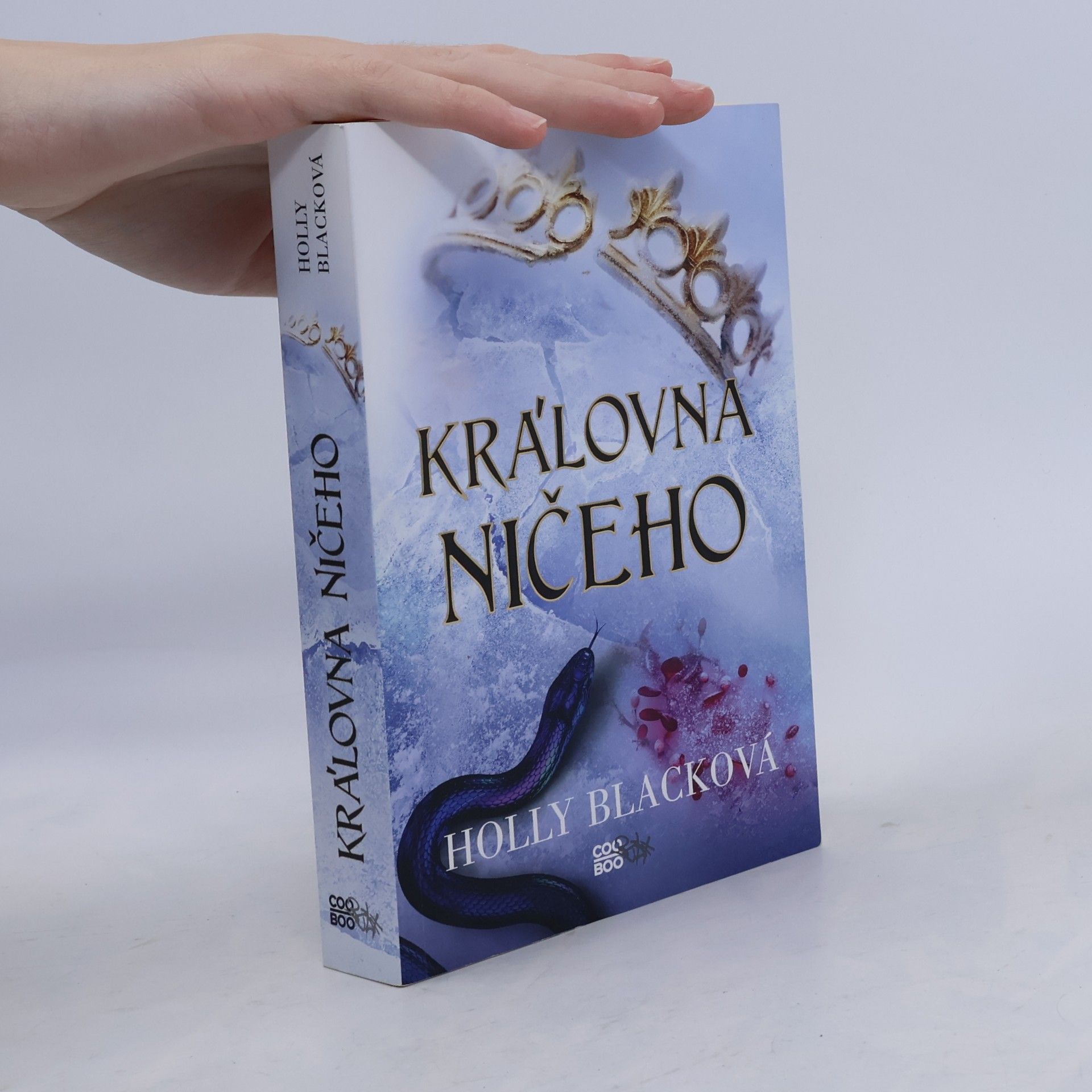 Holly Black Královna ničeho