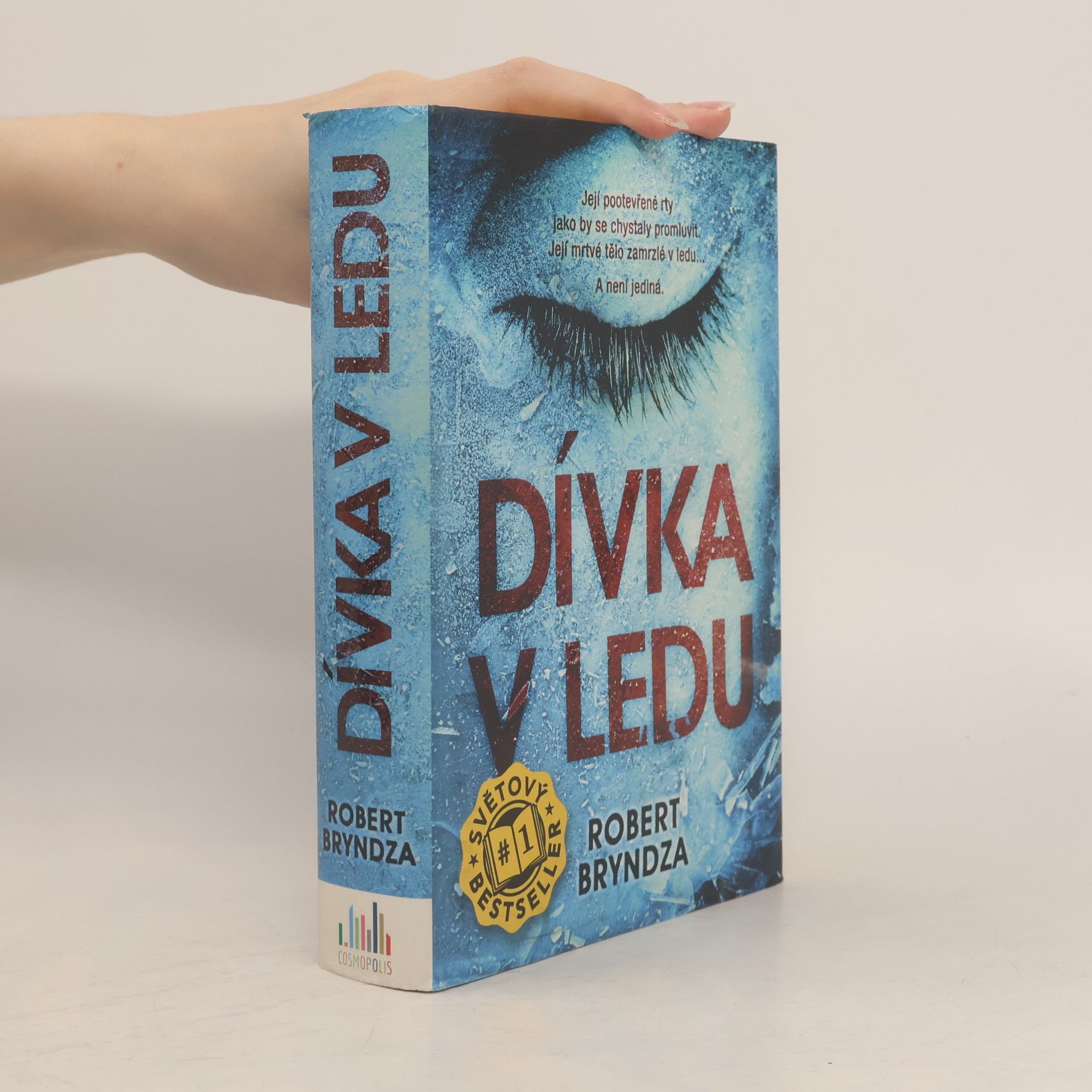 Robert Bryndza Dívka v ledu