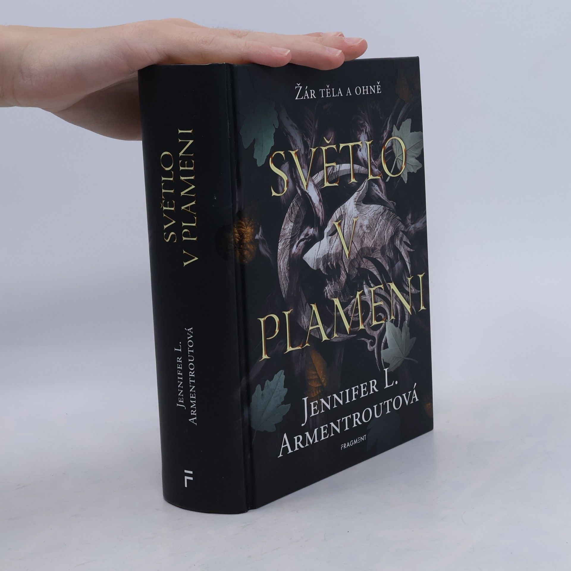 Jennifer Armentrout Světlo v plameni