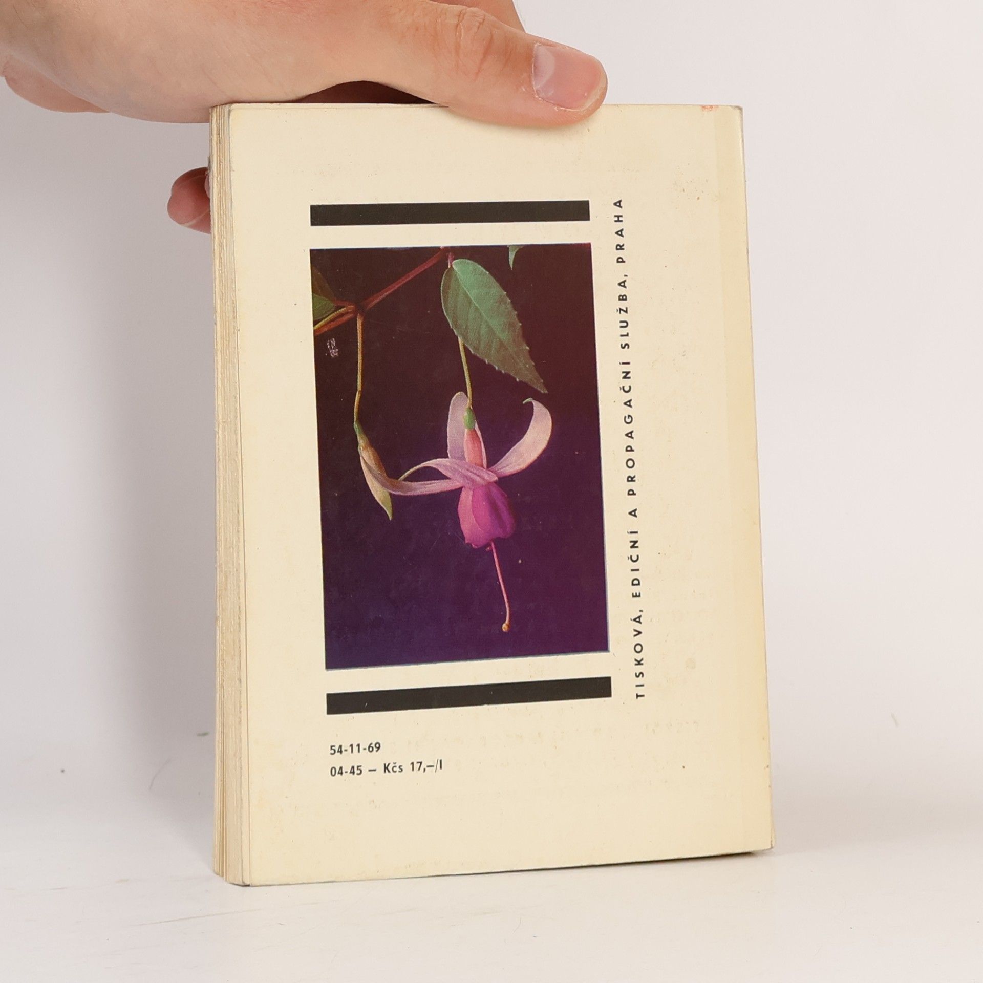 Karel Hieke Fuchsie