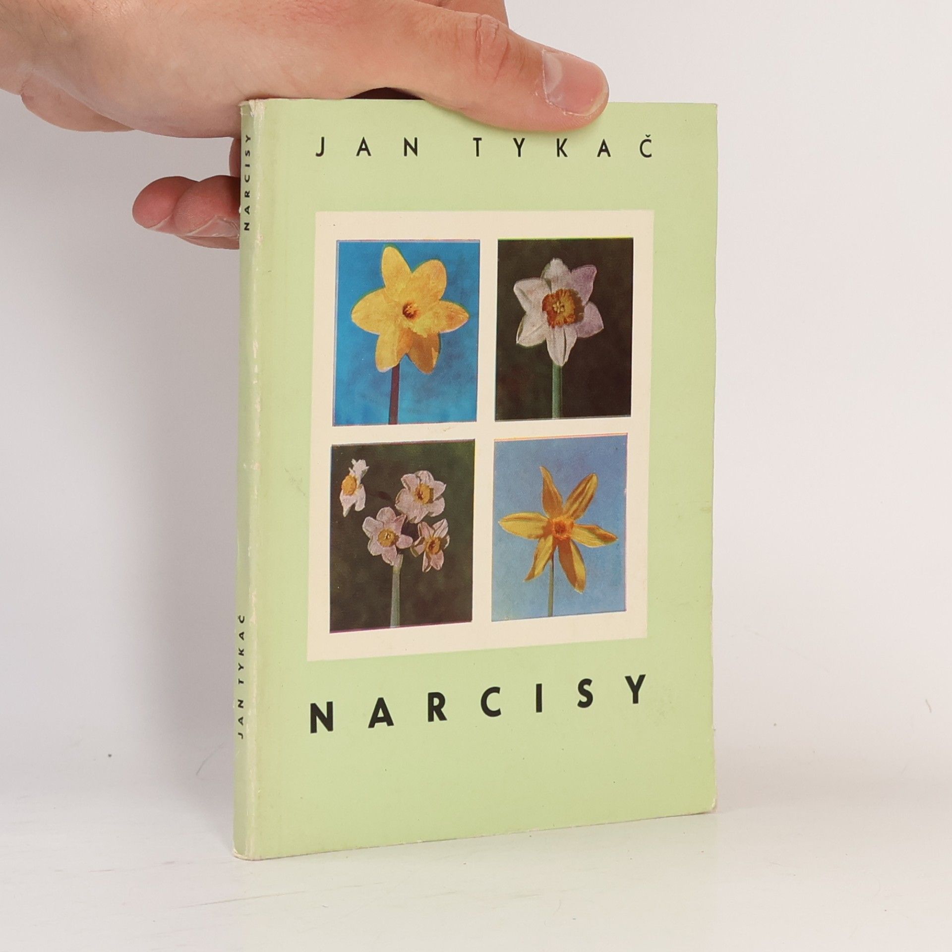 Narcisy