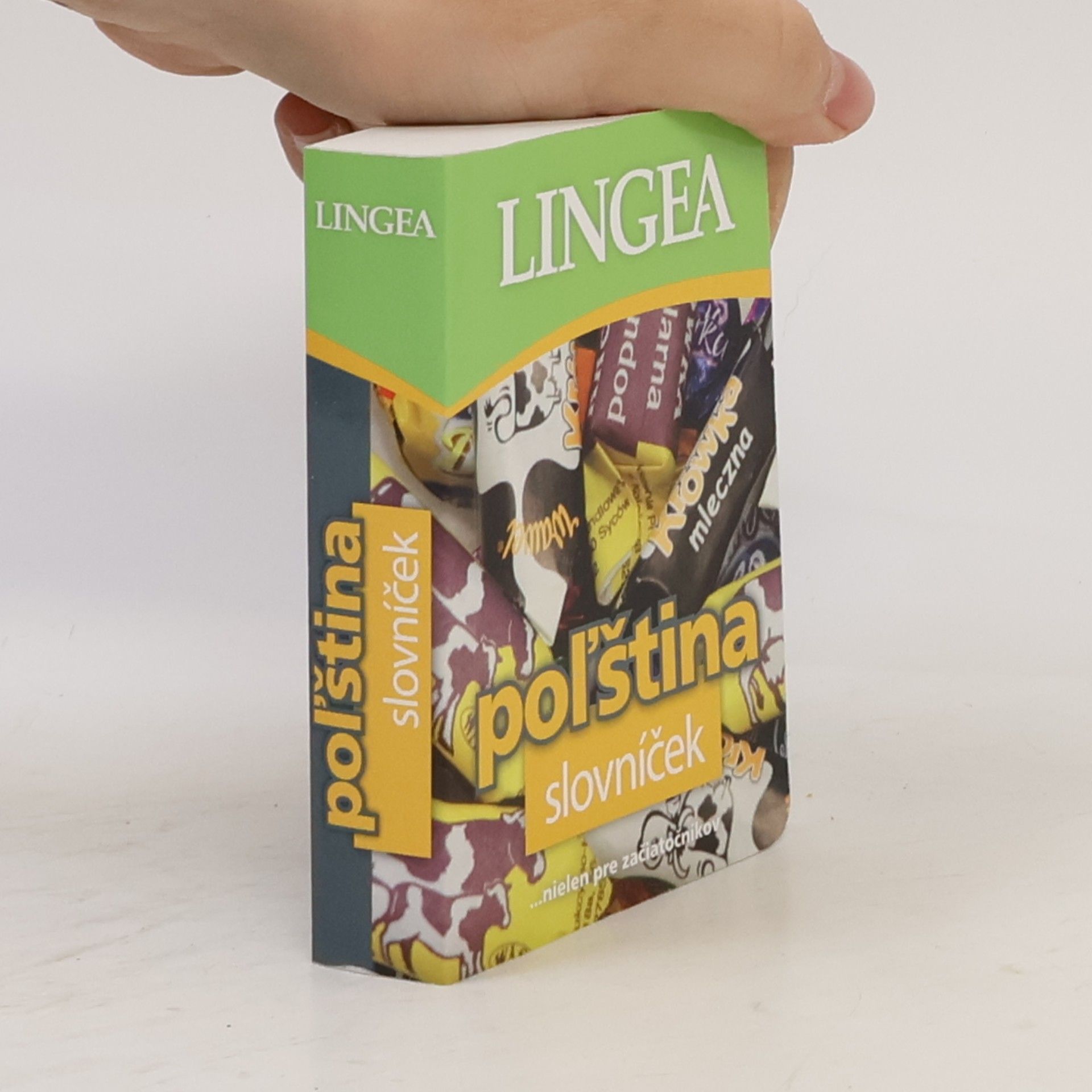Kolektiv autorů Poľština slovníček
