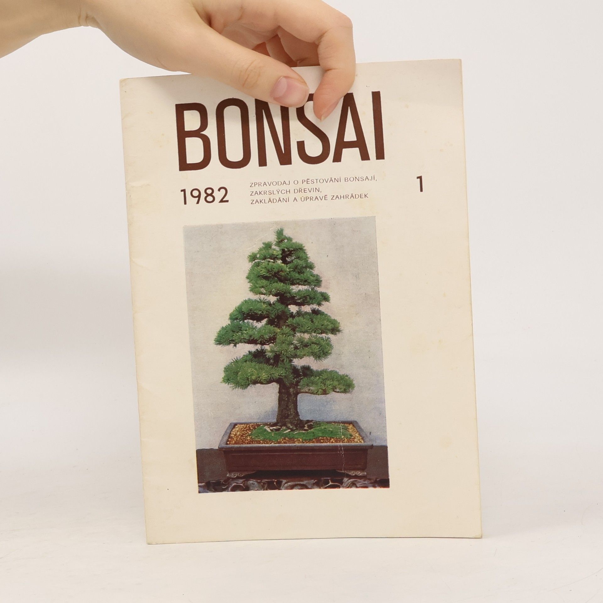 kolektiv Bonsai