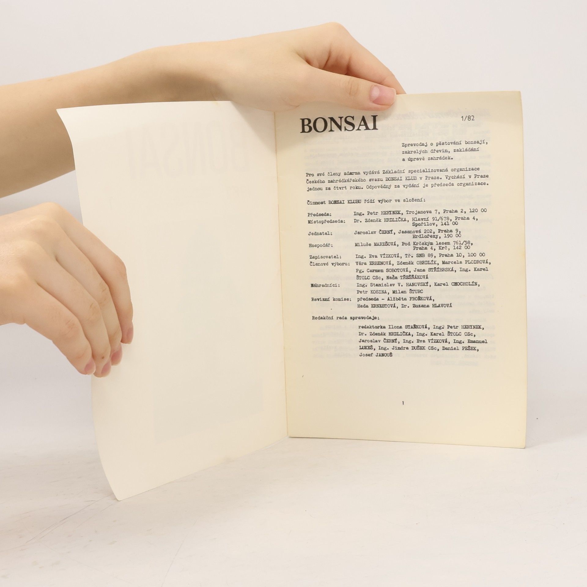 kolektiv Bonsai