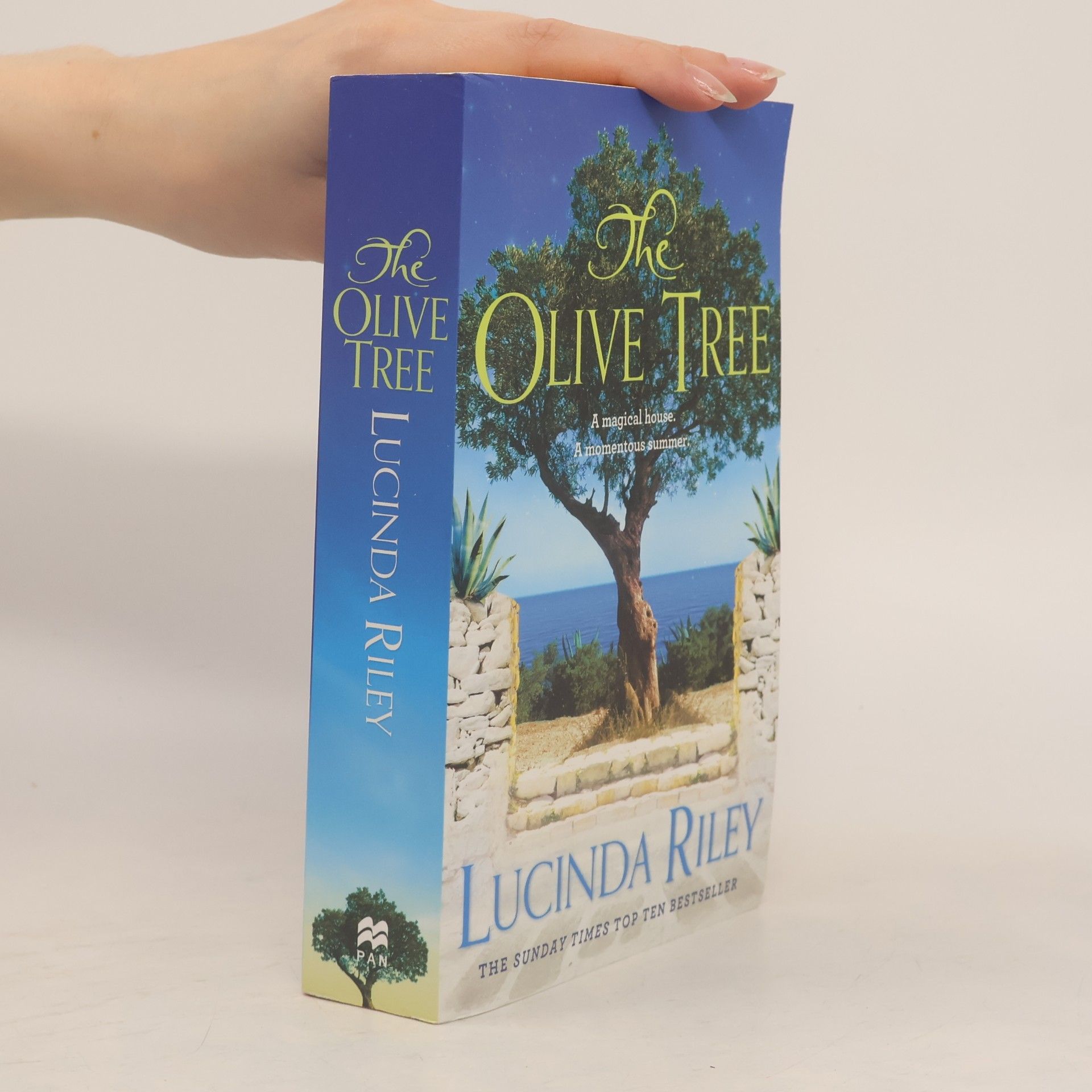 Lucinda Riley The Olive Tree